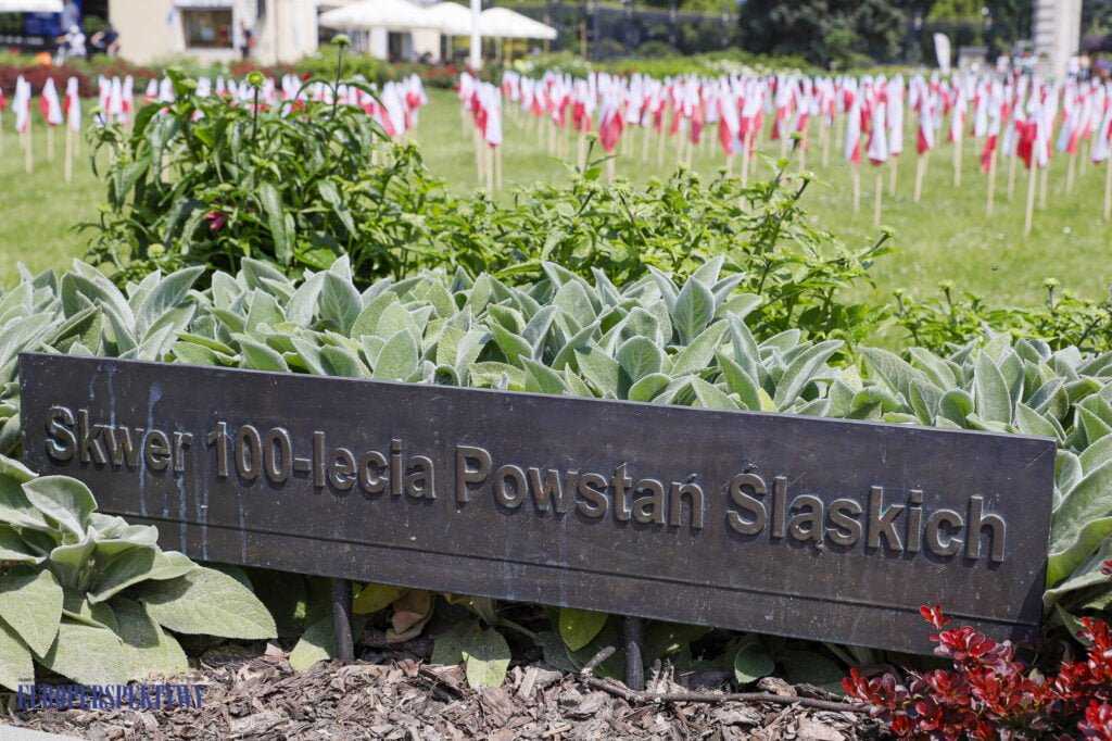 Europerspektywy Europerspektywy