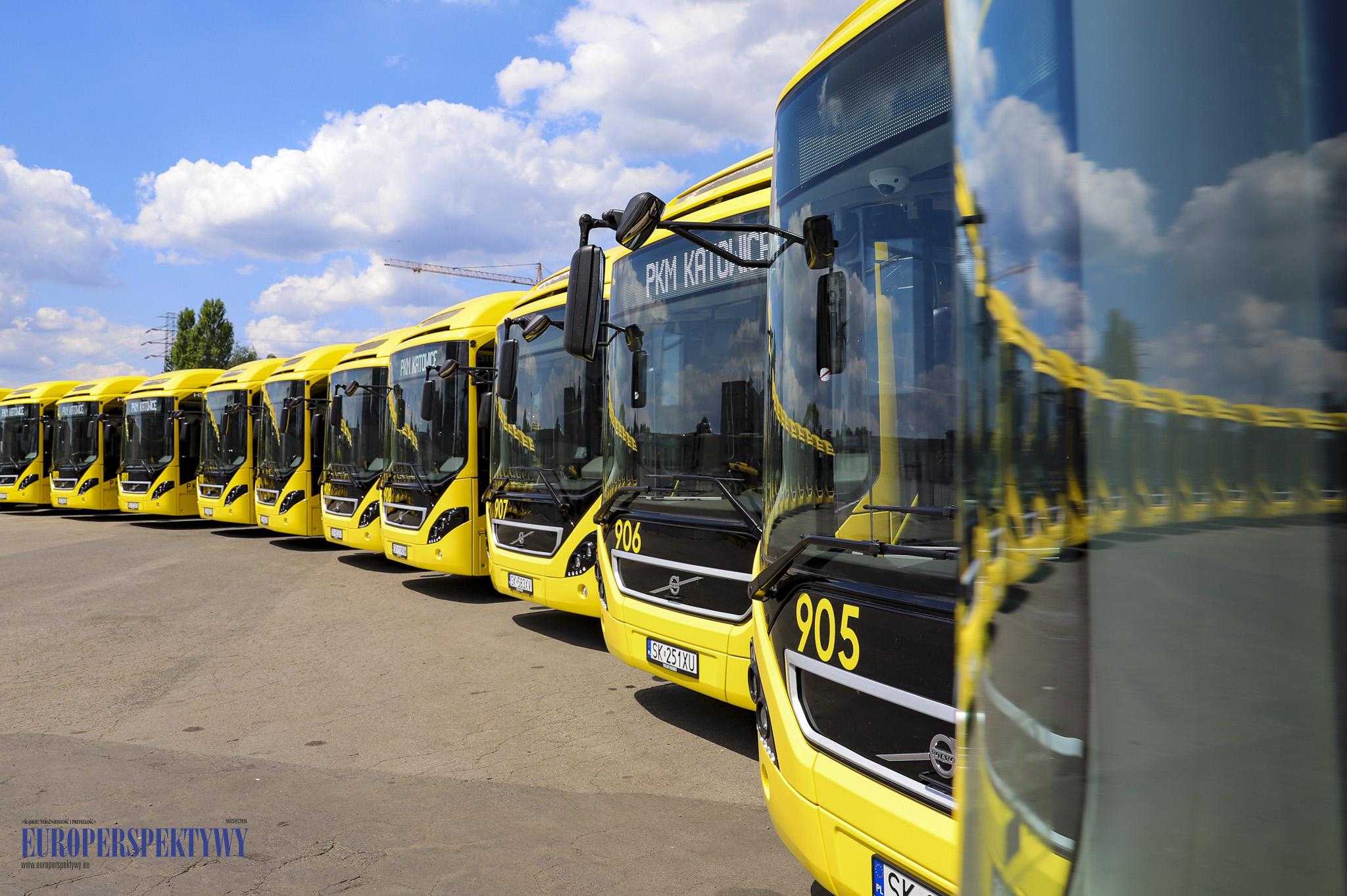 IMG_2146 Europerspektywy 22 nowe hybrydy w stajni PKM Katowice