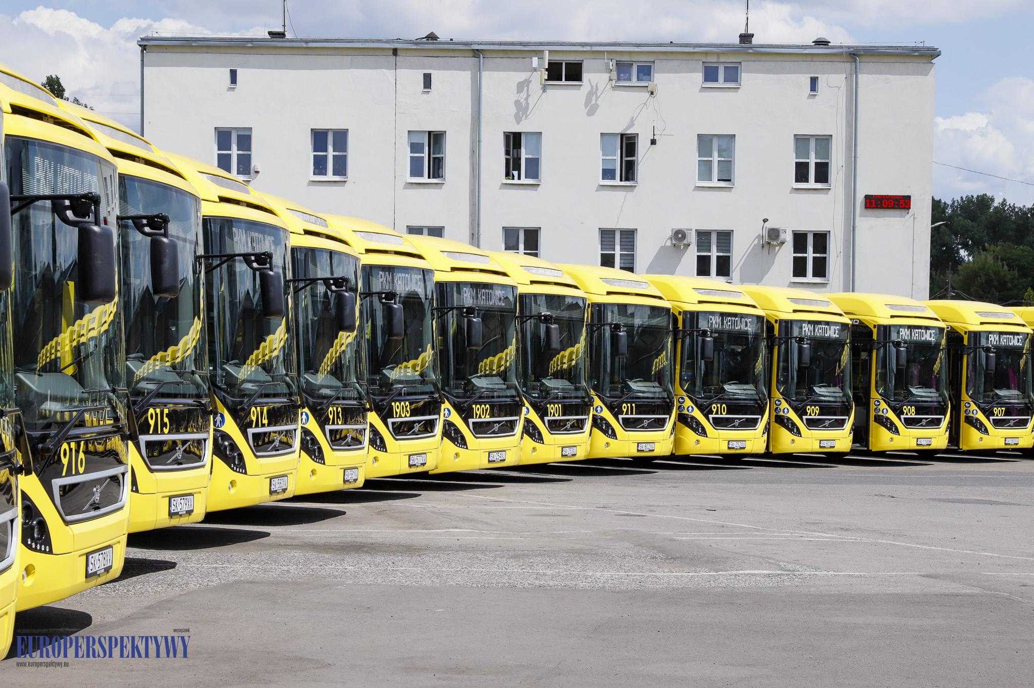 _MG_1996 Europerspektywy 22 nowe hybrydy w stajni PKM Katowice