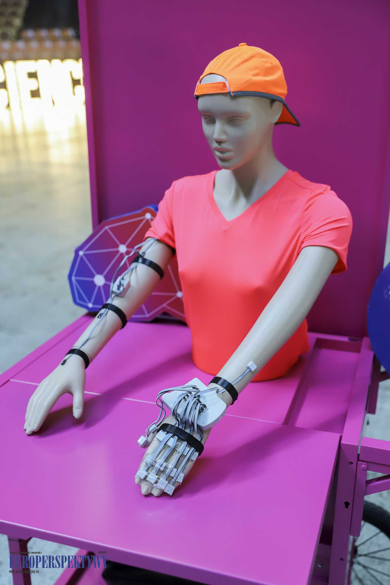 Europerspektywy 7. Śląski Festiwal Nauki zapowiedziany