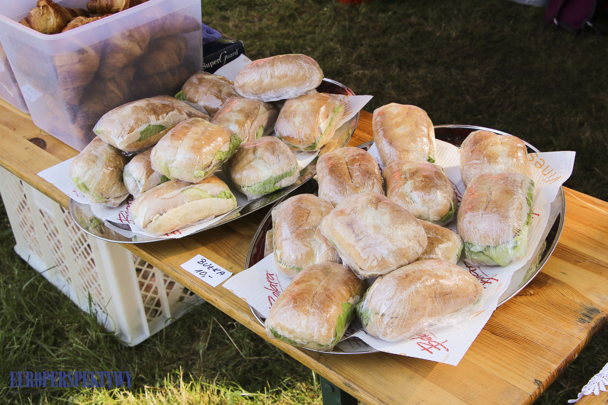 IMG_8262 Europerspektywy 10. Bieg Śląskich Aniołów