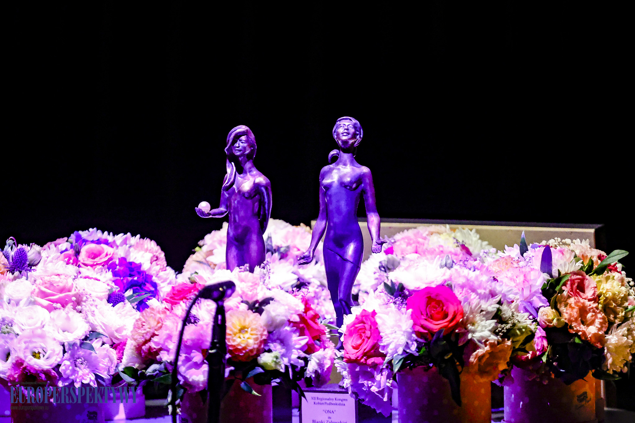 Europerspektywy 12. Regionalny Kongres Kobiet Podbeskidzia