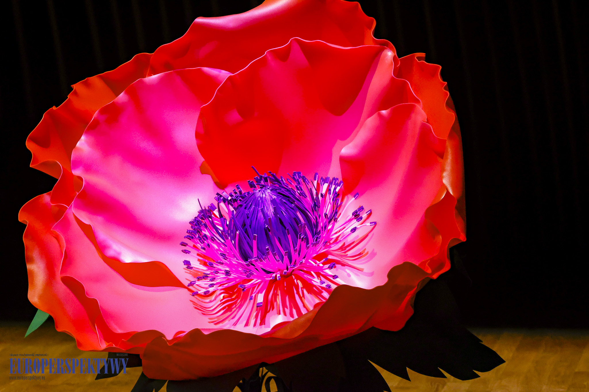 Europerspektywy 12. Regionalny Kongres Kobiet Podbeskidzia