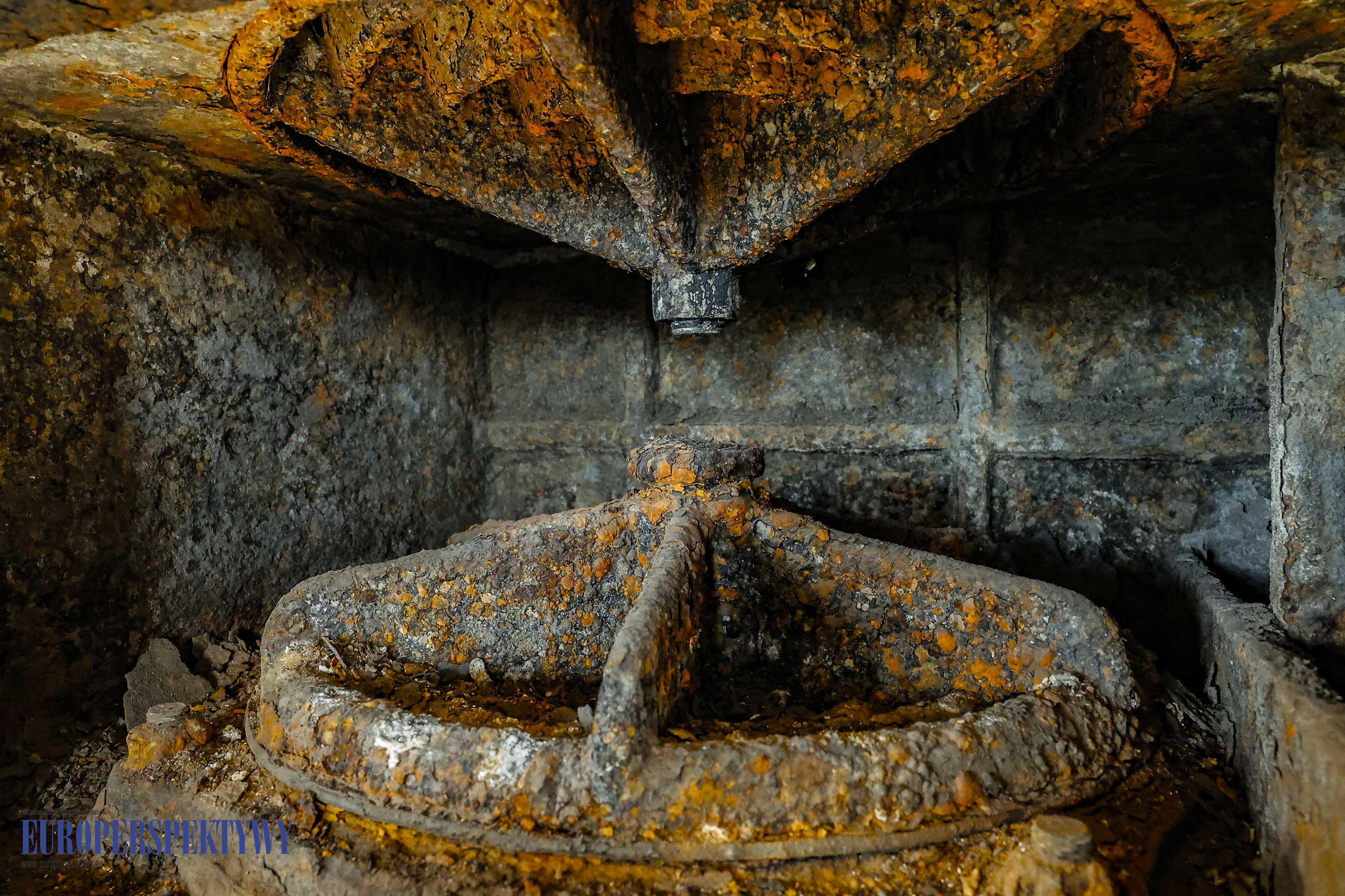 _MGM6311 Europerspektywy Walcownia Blach Batory - spotkanie z kontrahentami i partnerami firmy