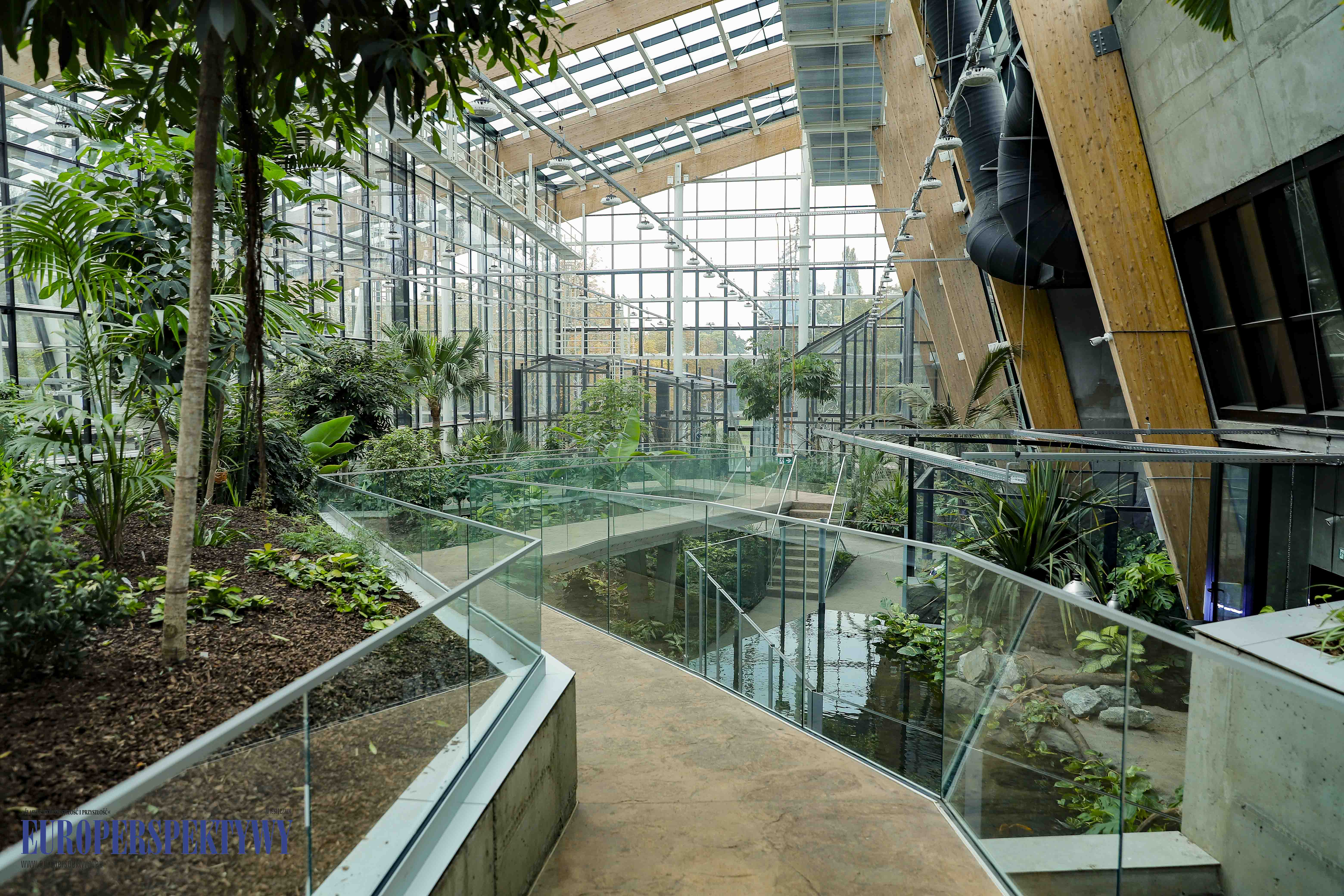 _MG_1604 Europerspektywy Nowe Egzotarium w Sosnowcu