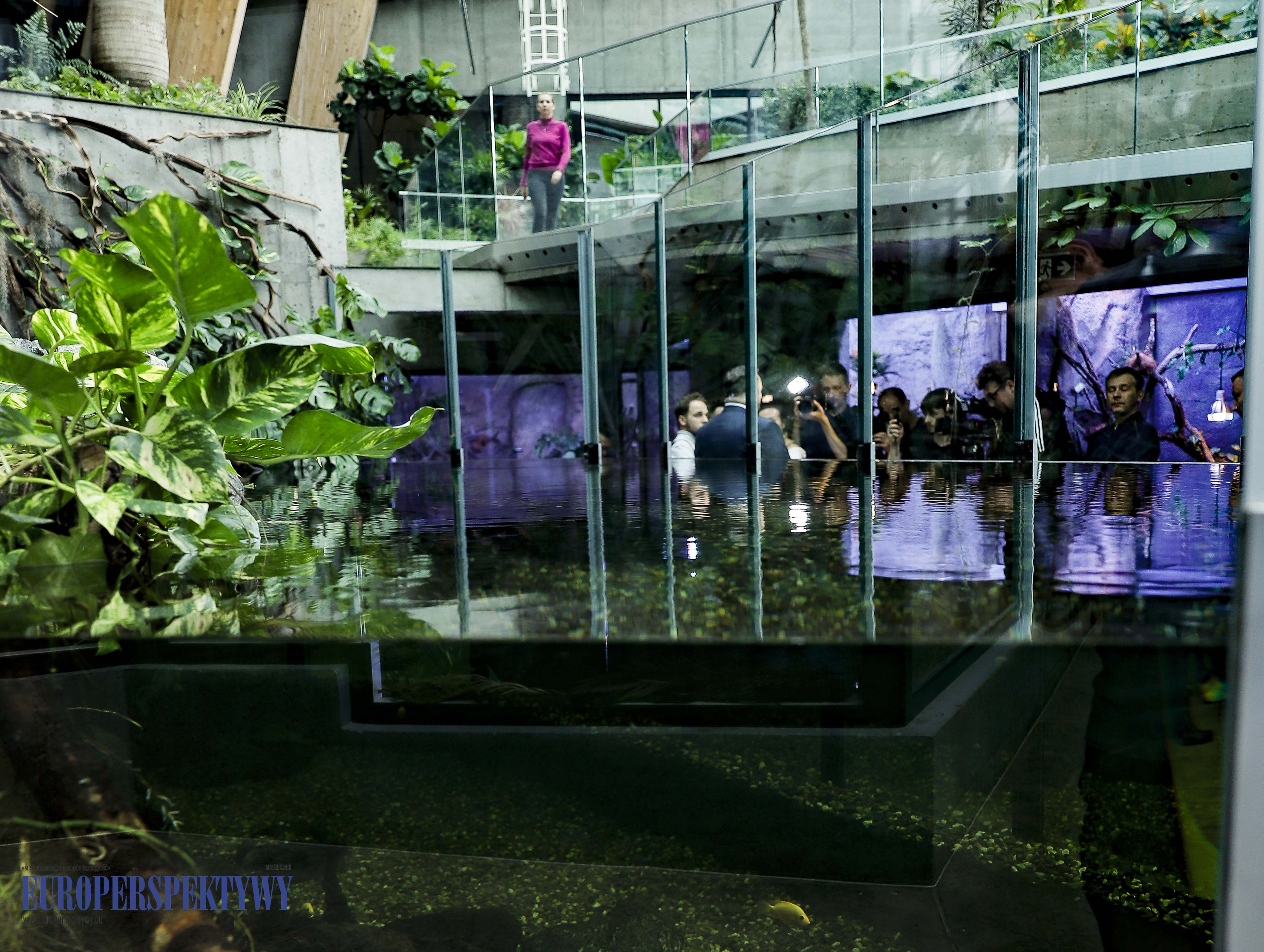 _MG_1687 Europerspektywy Nowe Egzotarium w Sosnowcu