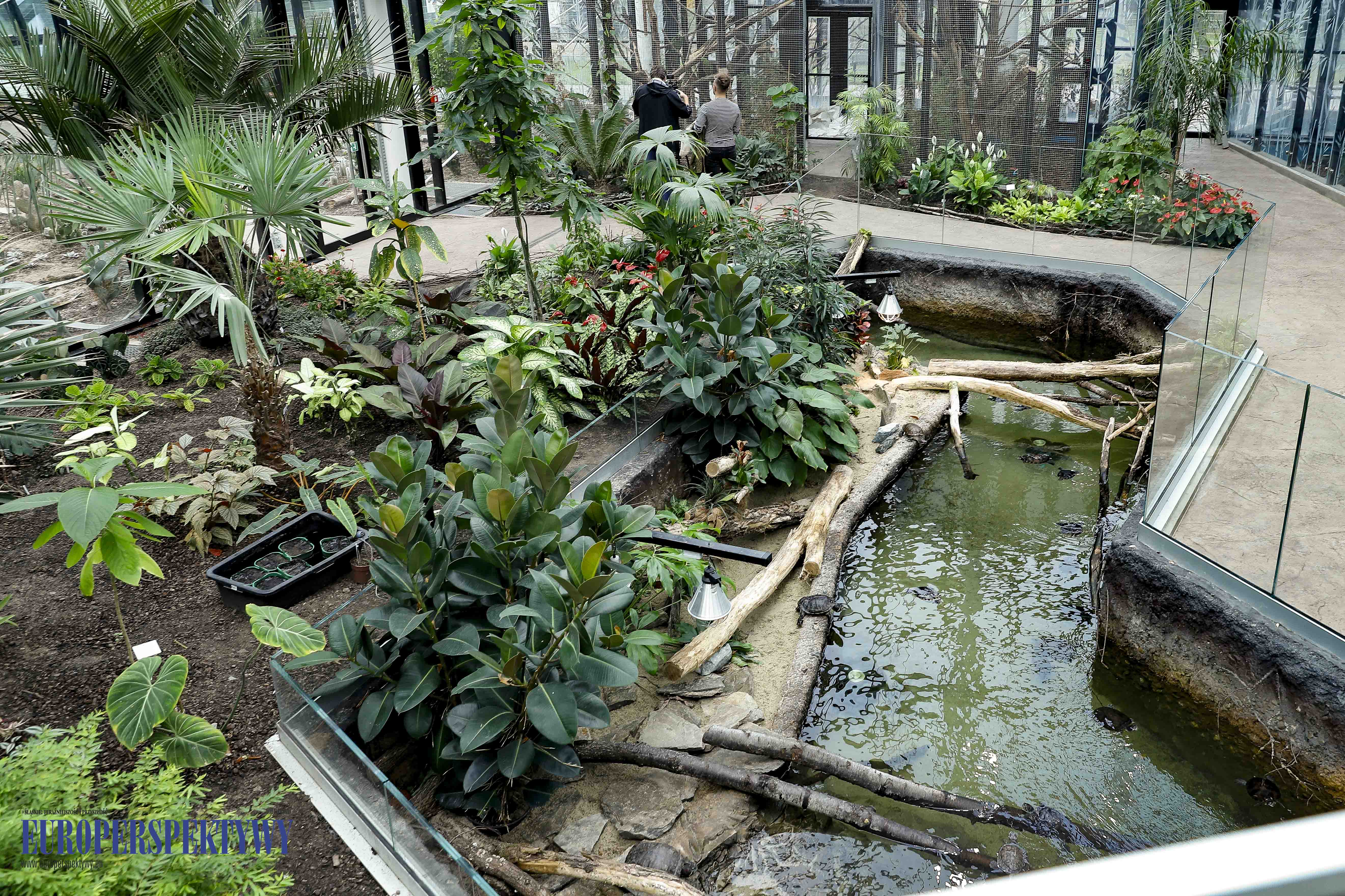 _MG_1742 Europerspektywy Nowe Egzotarium w Sosnowcu