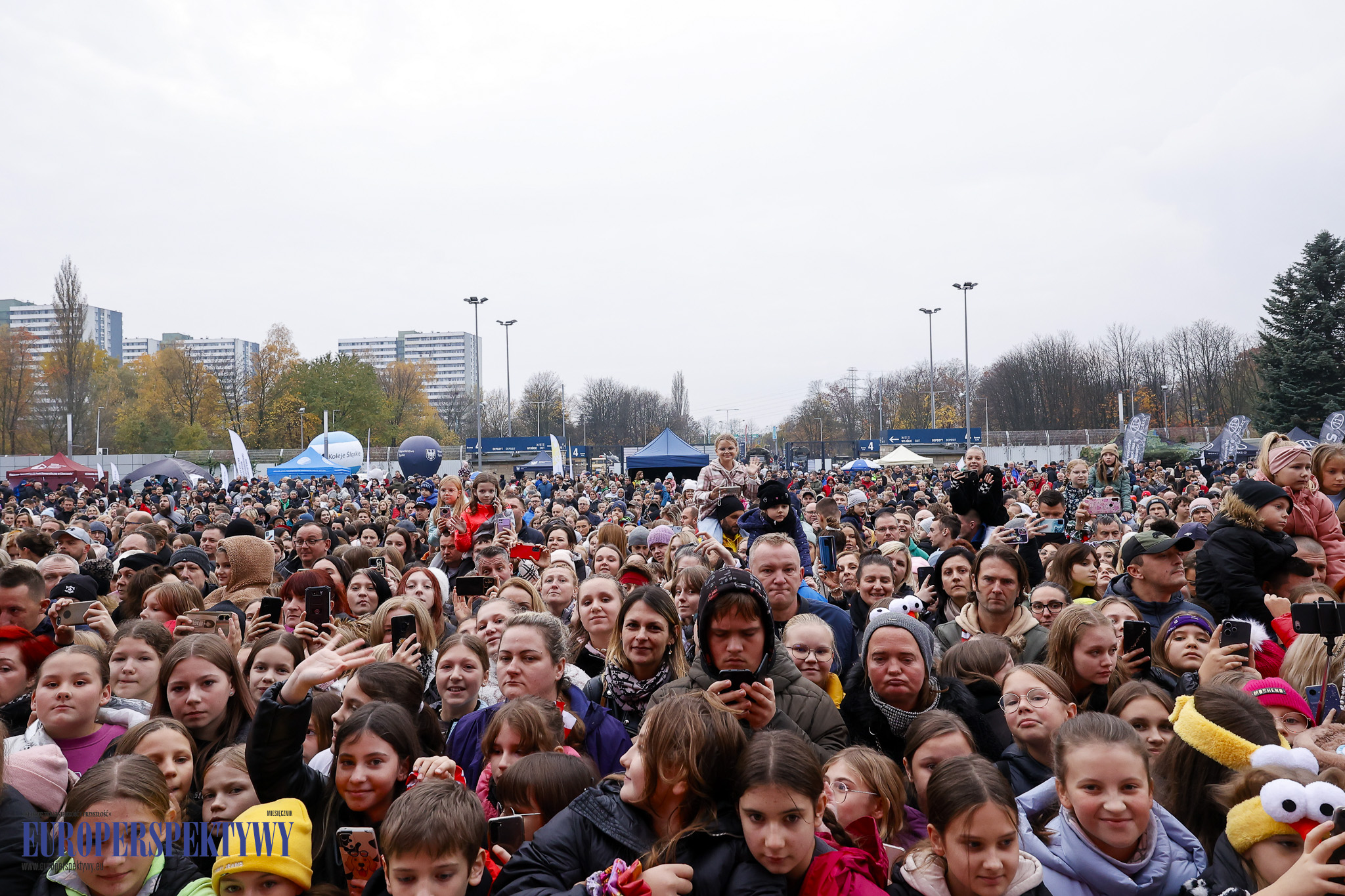 Europerspektywy Obchody Święta Niepodległości