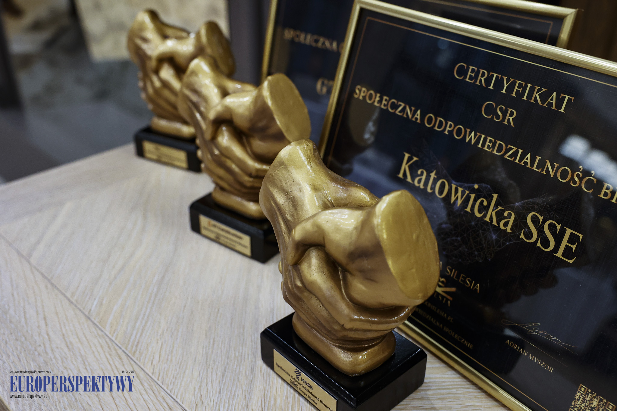 Europerspektywy Grupa Silesia: zamknięte spotkanie w Bel Mon Resort