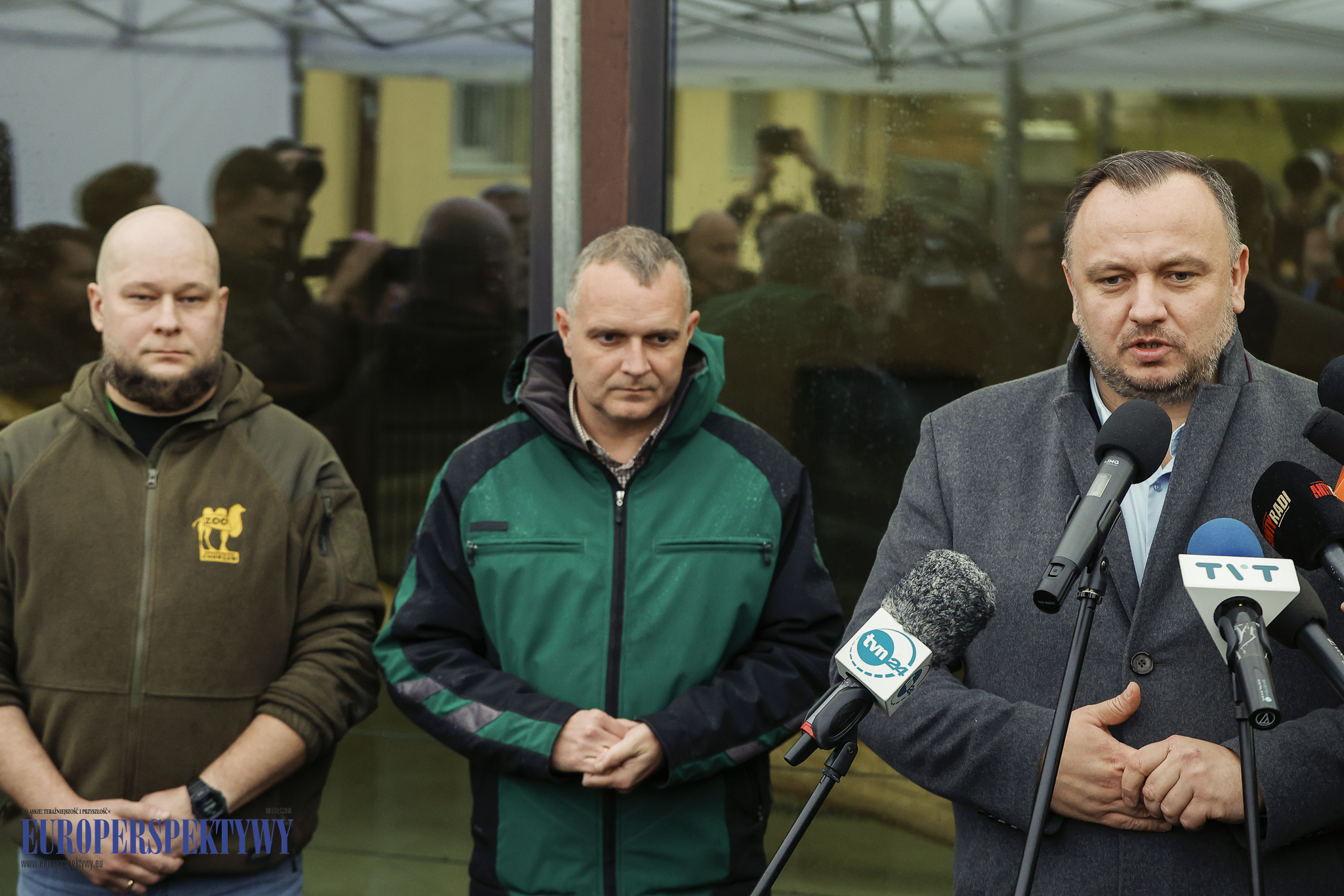 _MGL9289 Europerspektywy 4 lwiątka w Chorzowskim Ogrodzie Zoologicznym