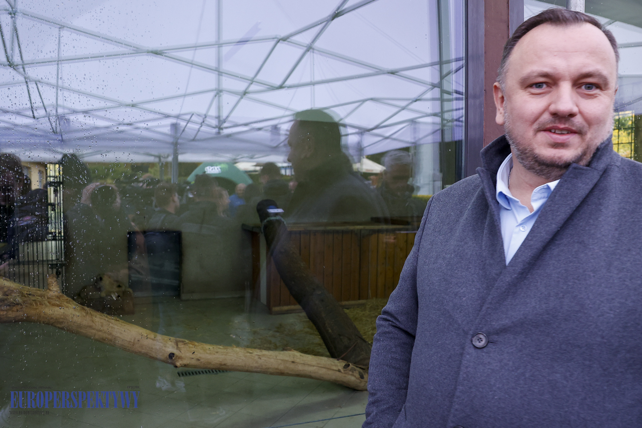 _MGL9445 Europerspektywy 4 lwiątka w Chorzowskim Ogrodzie Zoologicznym