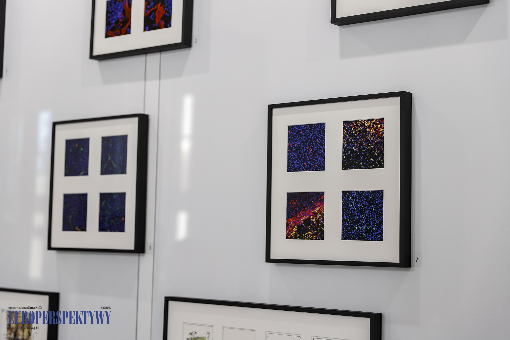 Europerspektywy NIO Gliwice: ,,Nowotwórczość — na styku nauki i sztuki”