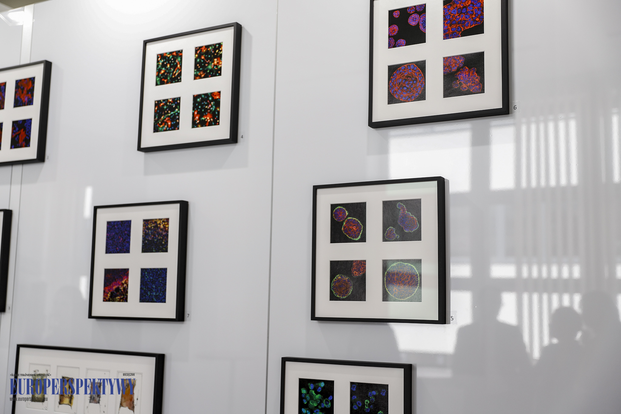 Europerspektywy NIO Gliwice: ,,Nowotwórczość — na styku nauki i sztuki”