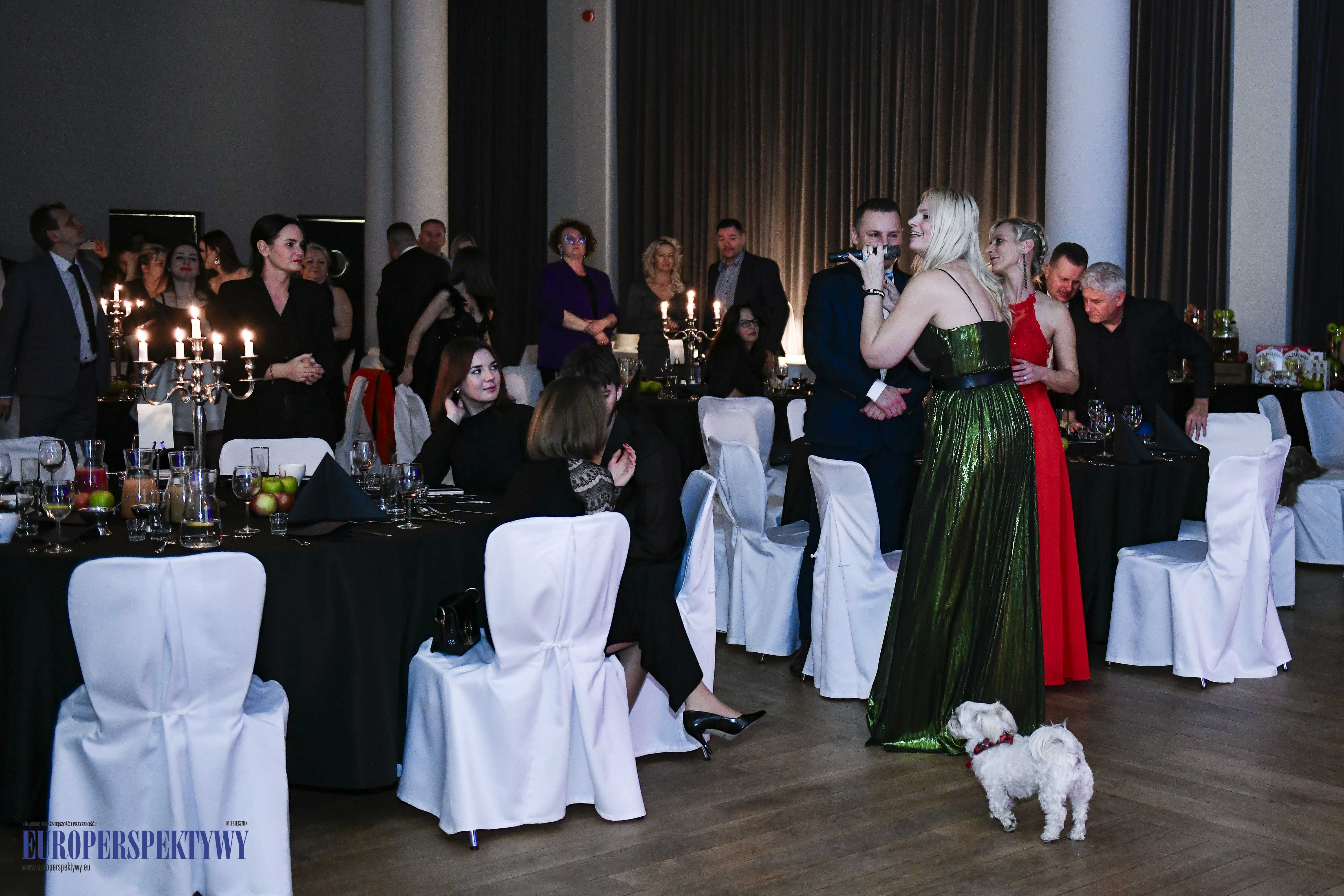 _DSC3816 Europerspektywy Karnawałowa Gala Biznes Connect Polska
