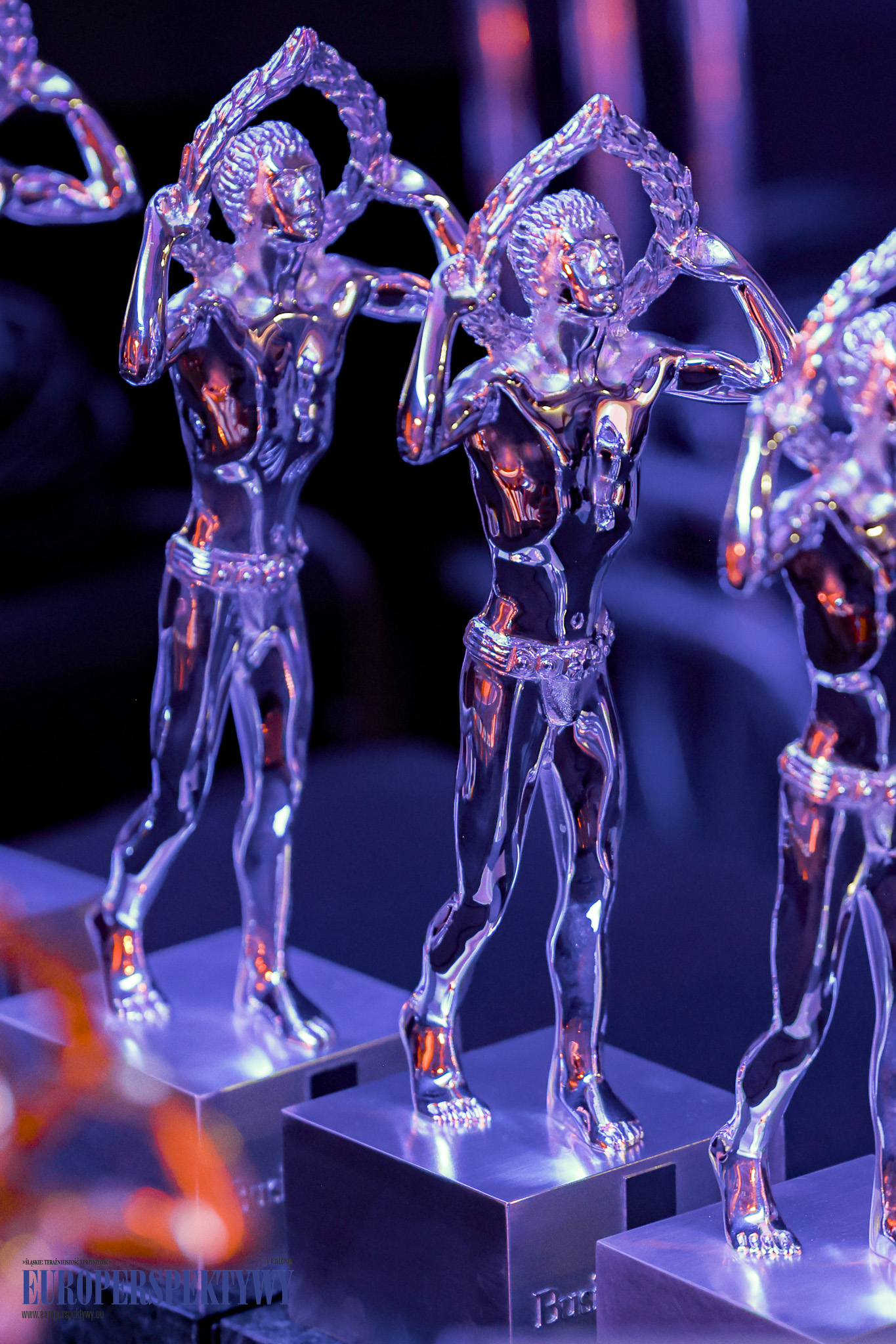 _MGL-1138 Europerspektywy 31. Lider Polskiego Biznesu