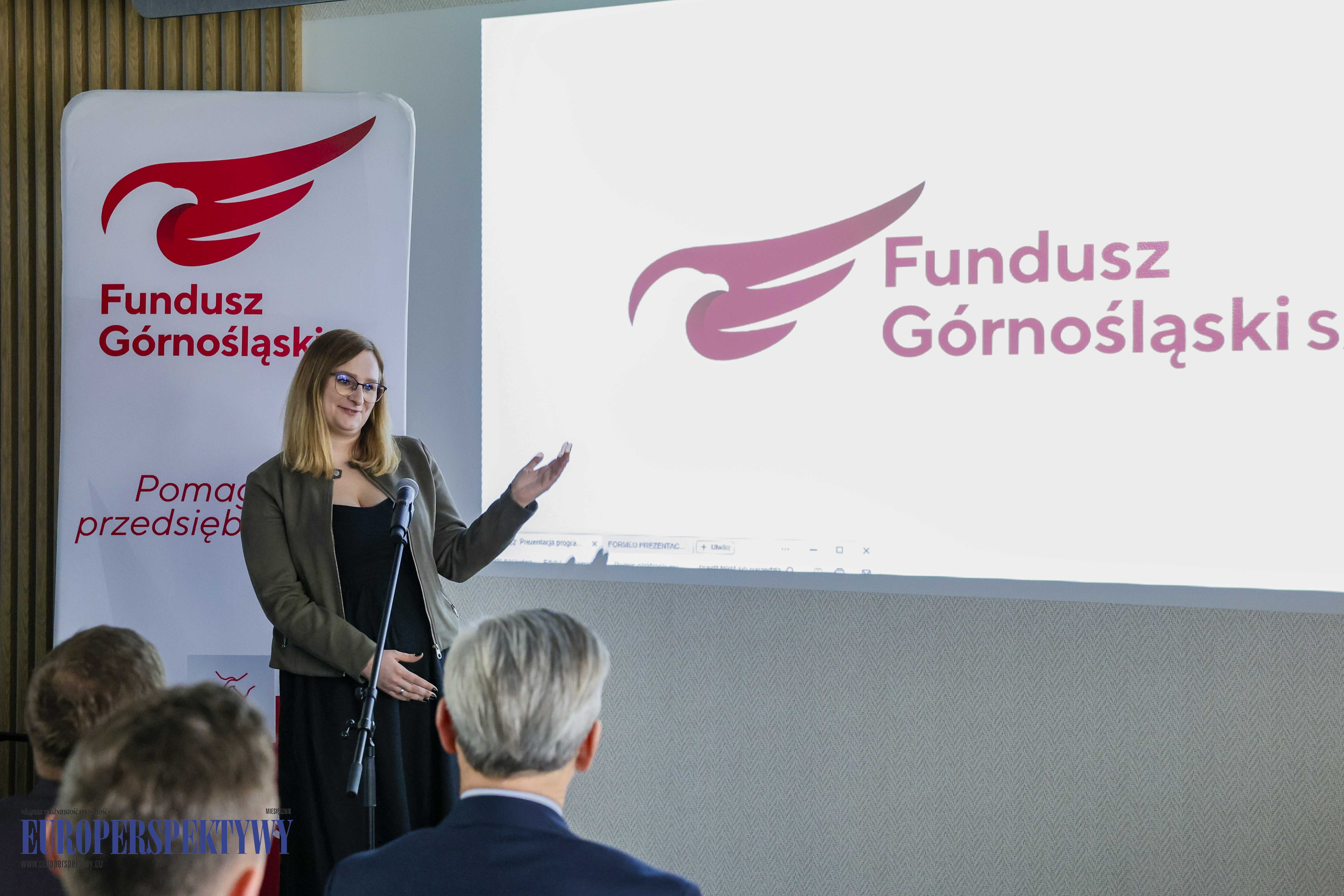 Europerspektywy Fundusz Górnośląski: podsumowanie projektów z 2023 roku