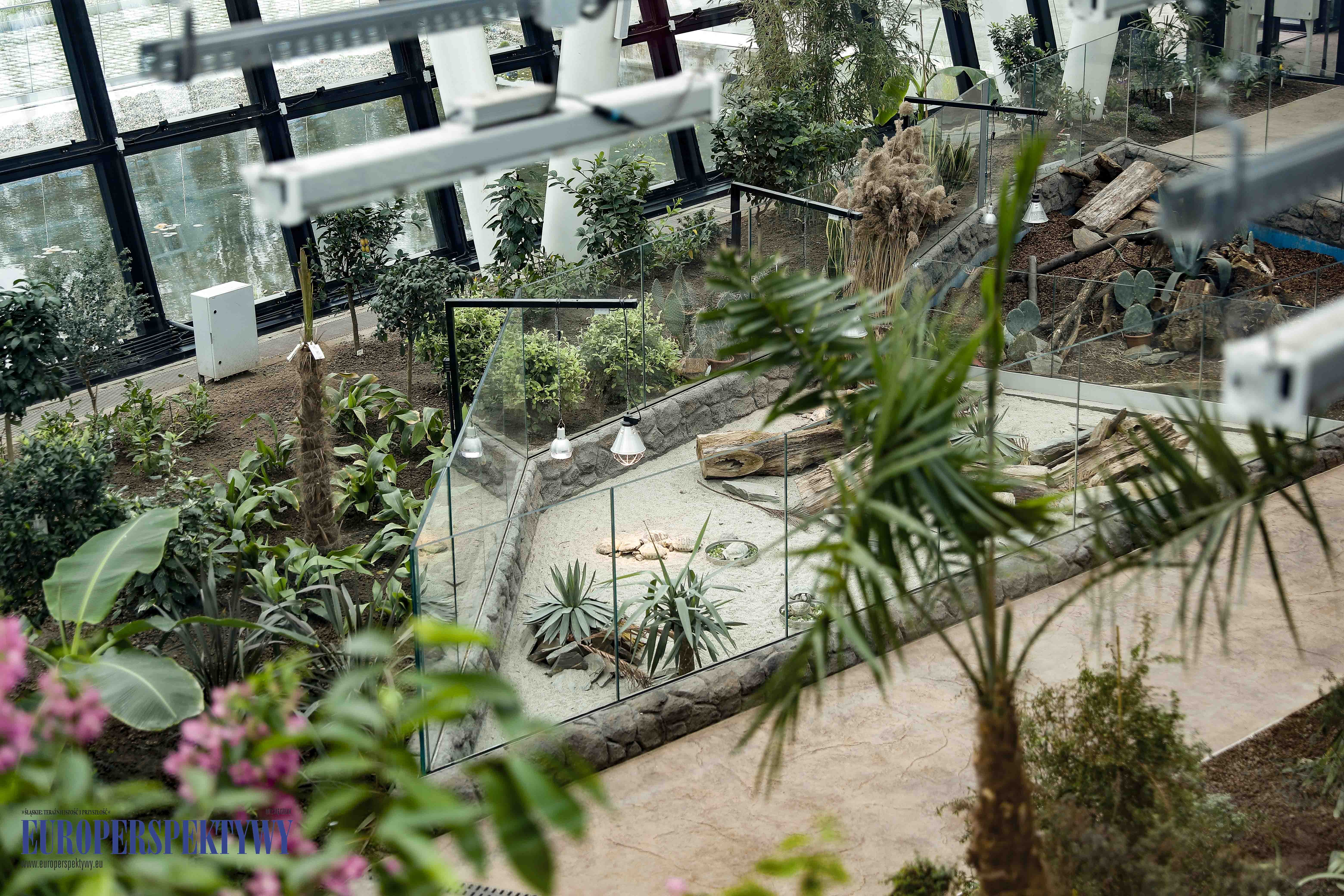 _MG_1535 Europerspektywy RIG: Gospodarcze Otwarcie Roku 2024