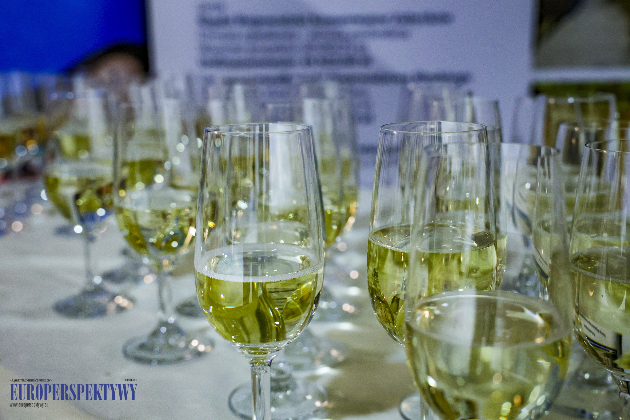 Pałac w Rzuchowie EUROPERSPEKTYWY-10