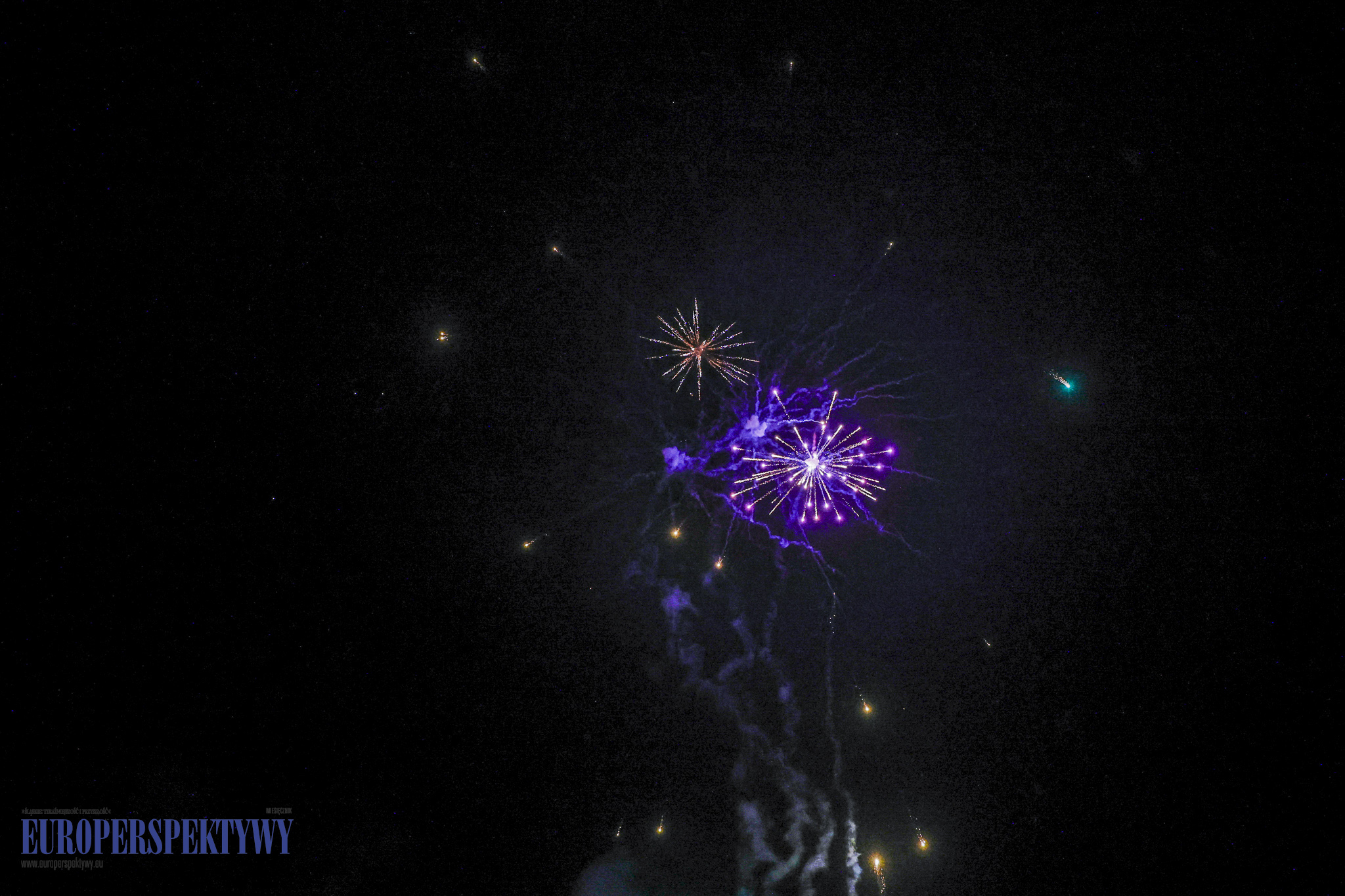 Pałac w Rzuchowie EUROPERSPEKTYWY-106