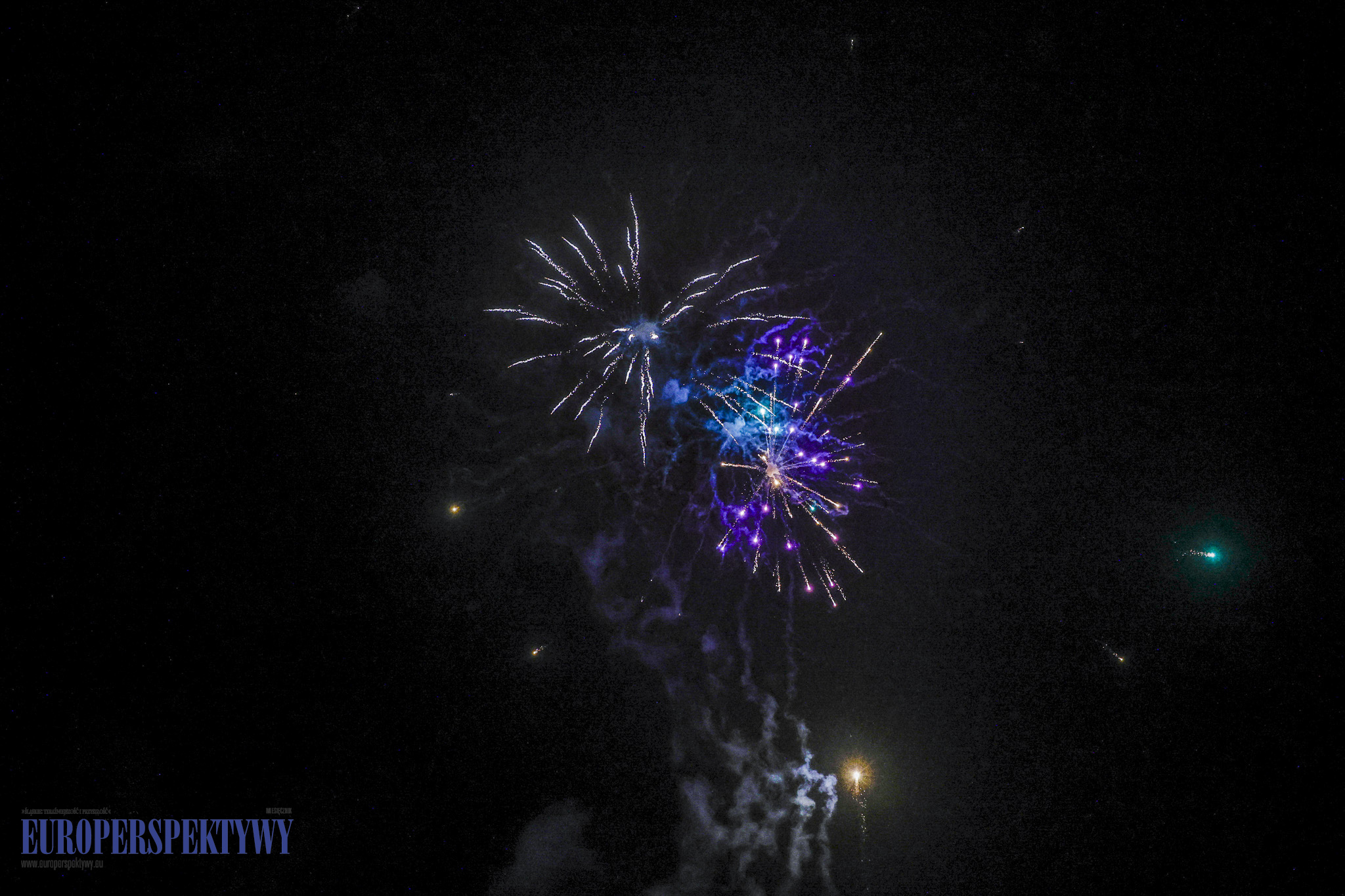 Pałac w Rzuchowie EUROPERSPEKTYWY-107