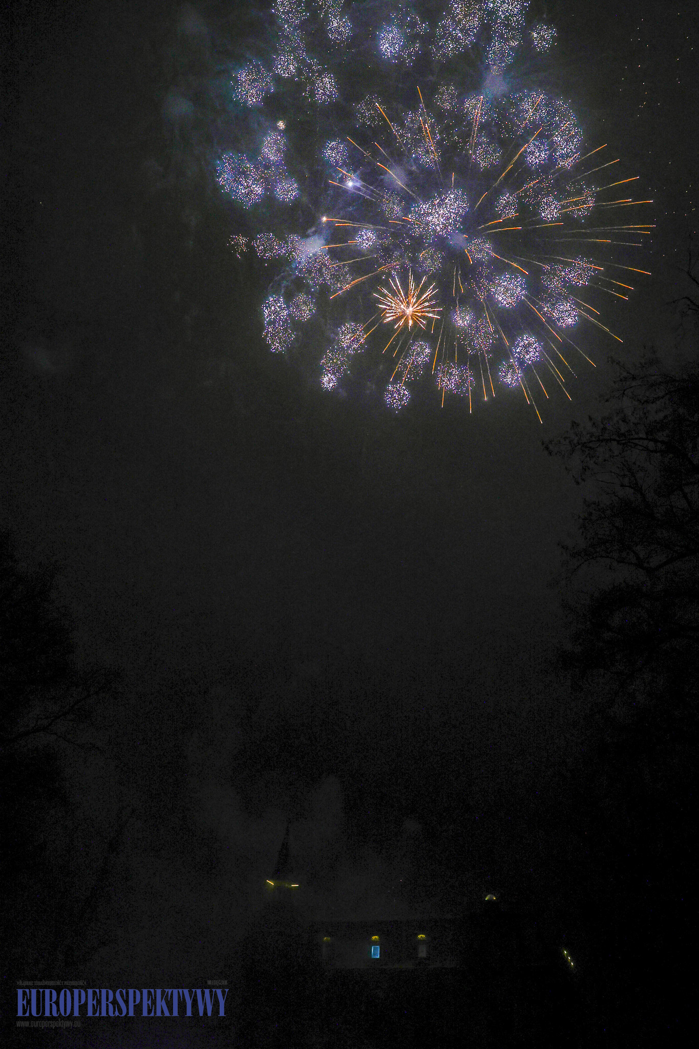 Pałac w Rzuchowie EUROPERSPEKTYWY-139