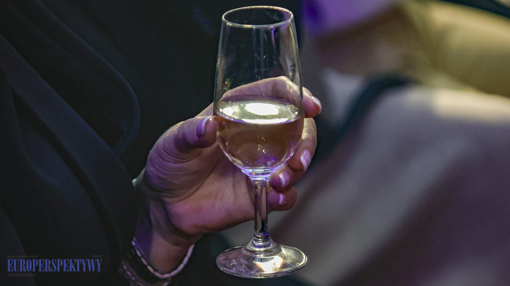 Pałac w Rzuchowie EUROPERSPEKTYWY-32