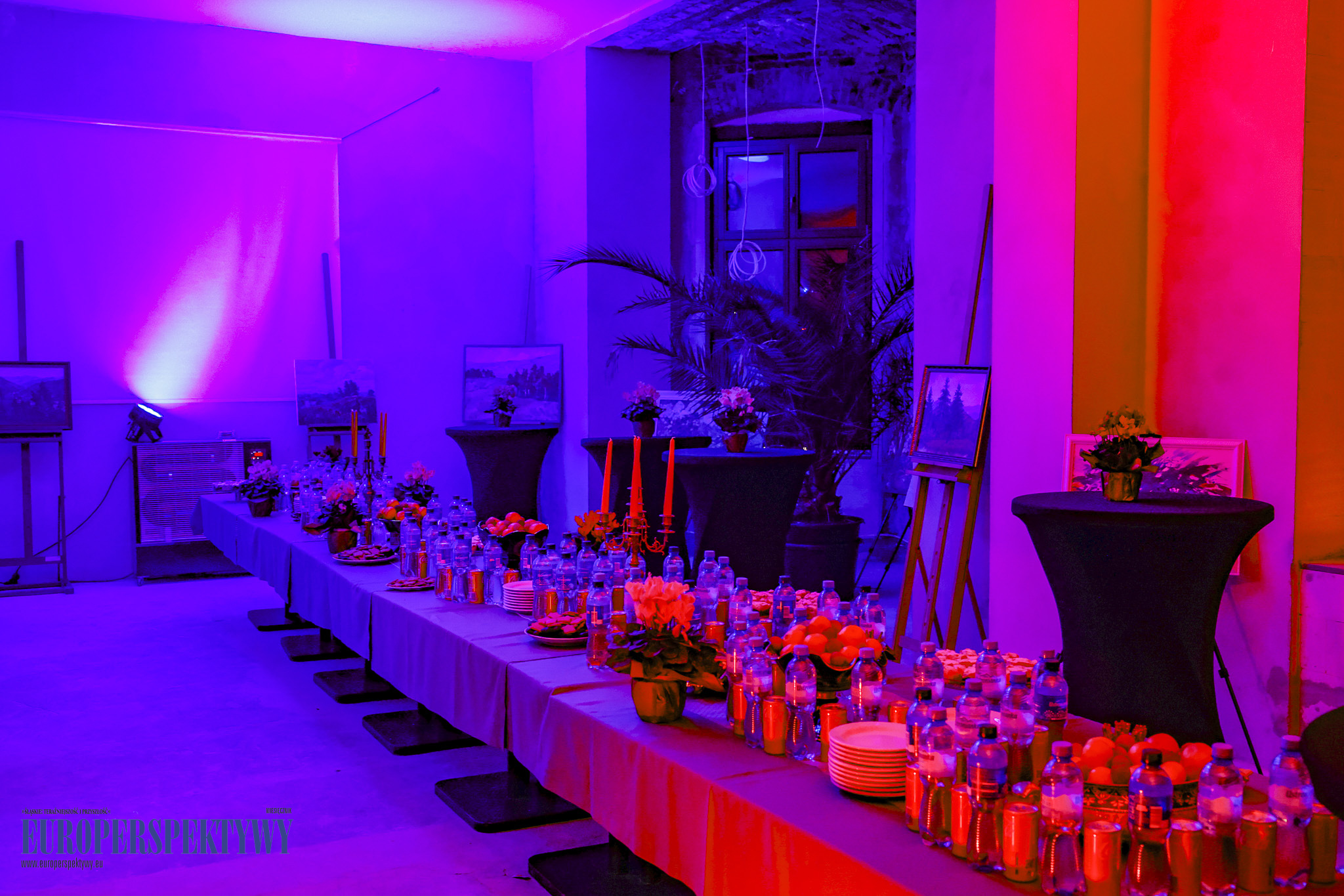 Pałac w Rzuchowie EUROPERSPEKTYWY-46