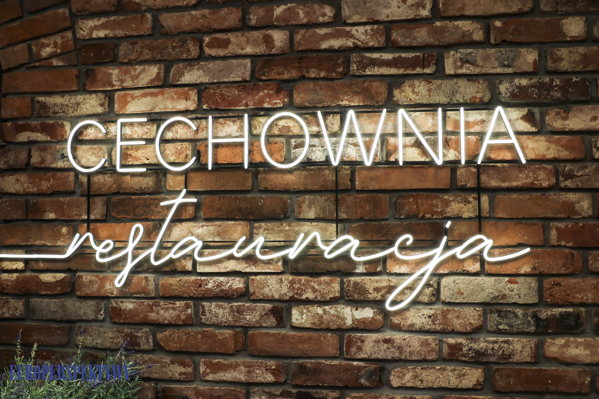 IMGL3685 Europerspektywy I Gliwicki Bal Charytatywny