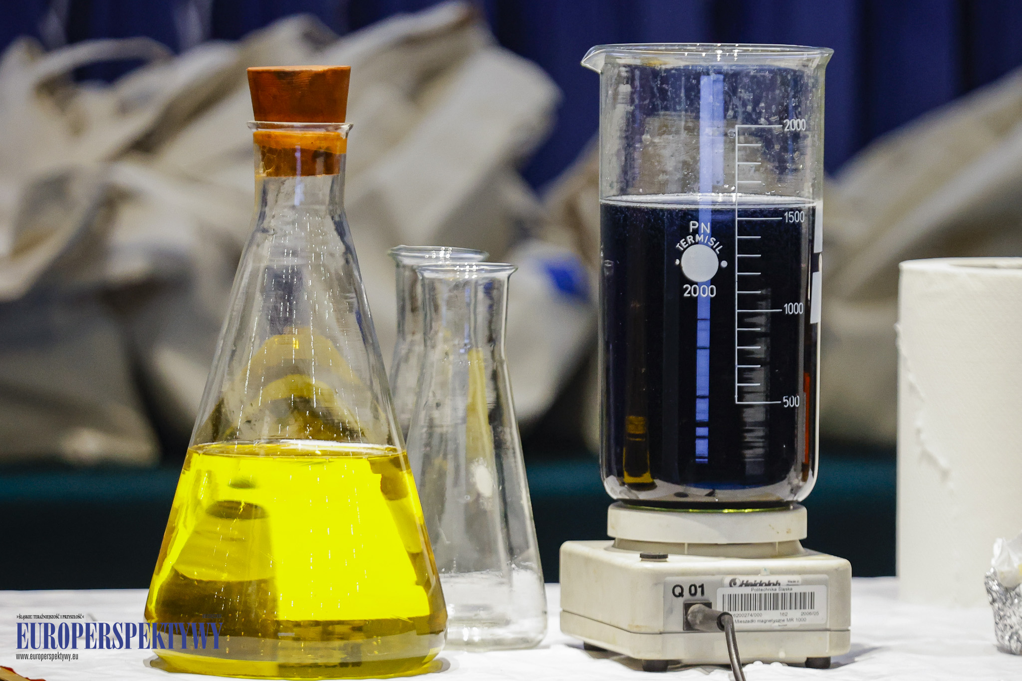 Europerspektywy Politechnika Śląska „Projekt Politechnika”