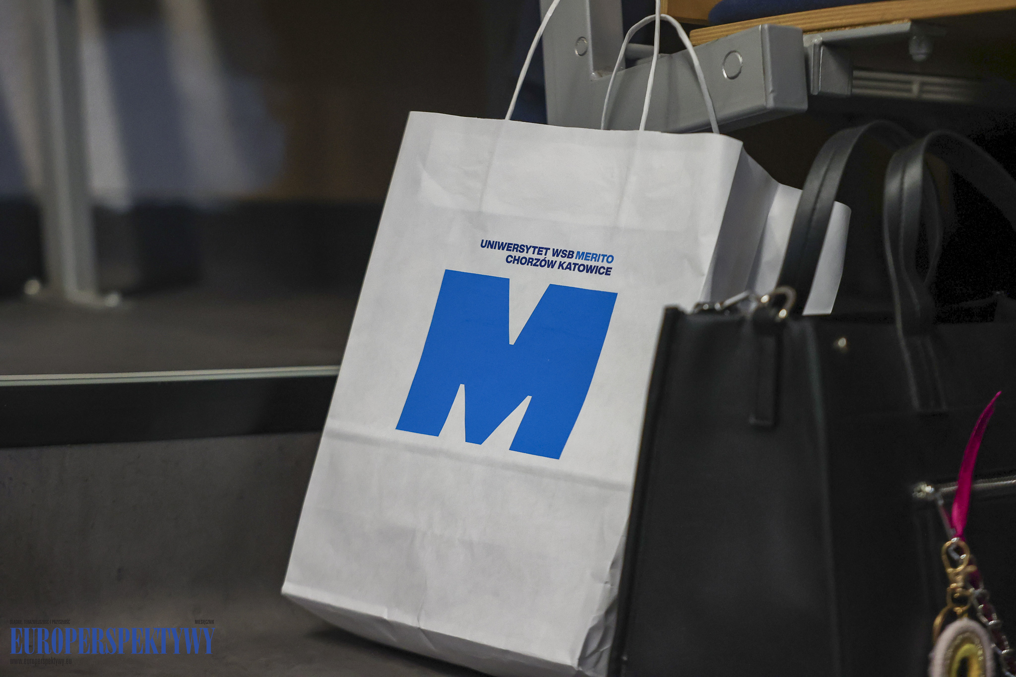 Europerspektywy Spotkanie Firm Członkowskich RIG