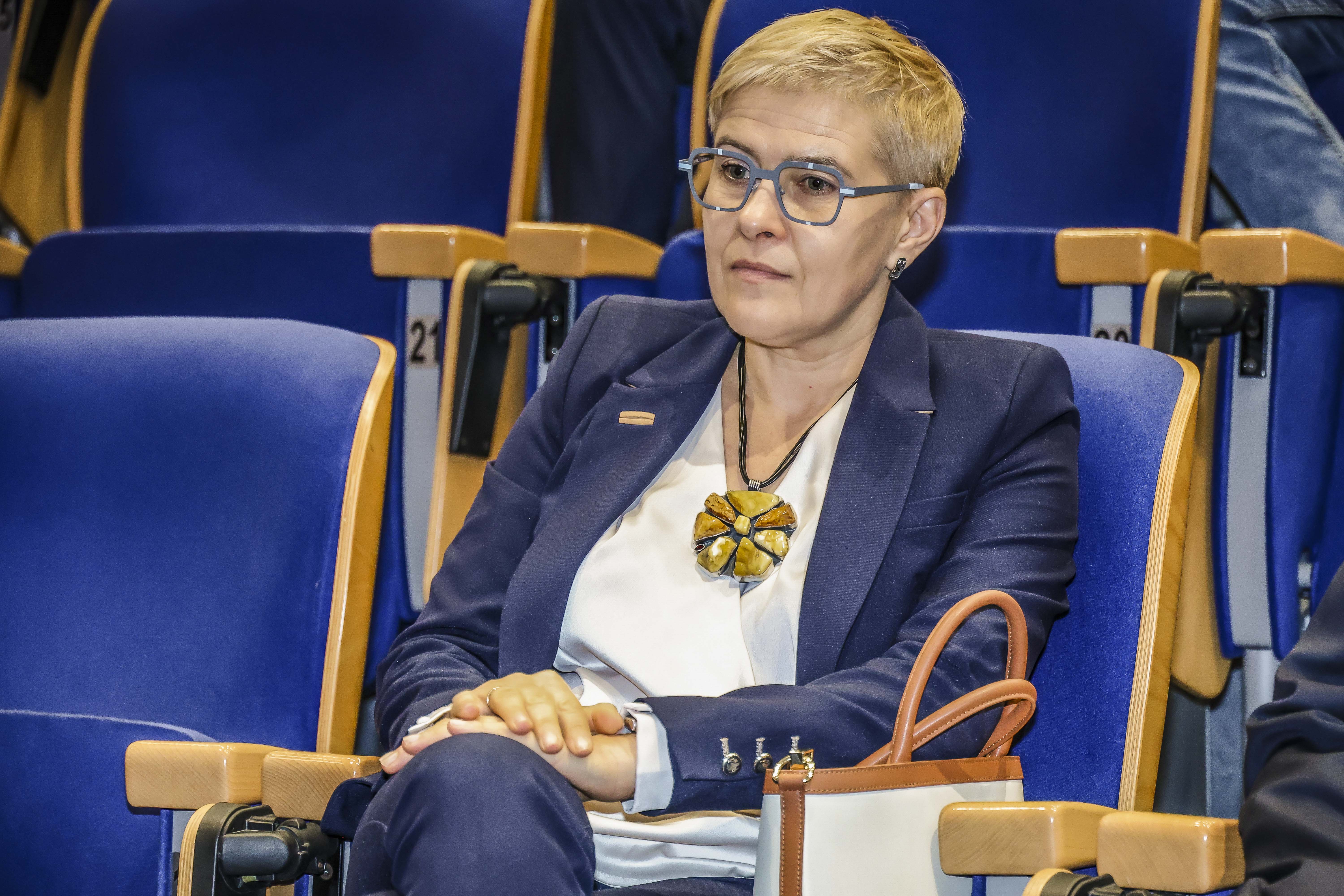 Europerspektywy Politechnika Śląska: 8. konferencja EDUAL