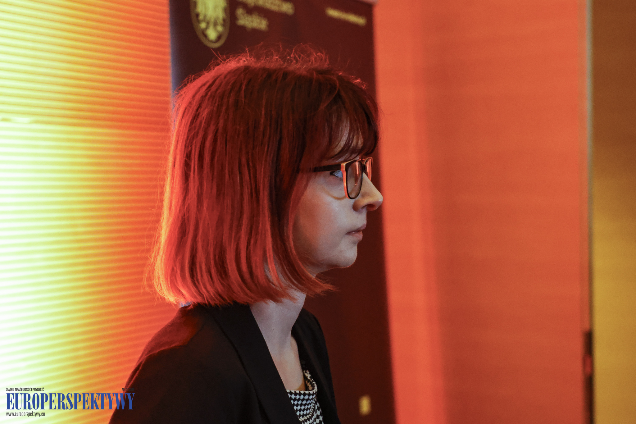 _MGL1043 Europerspektywy RIG: Industry in transition