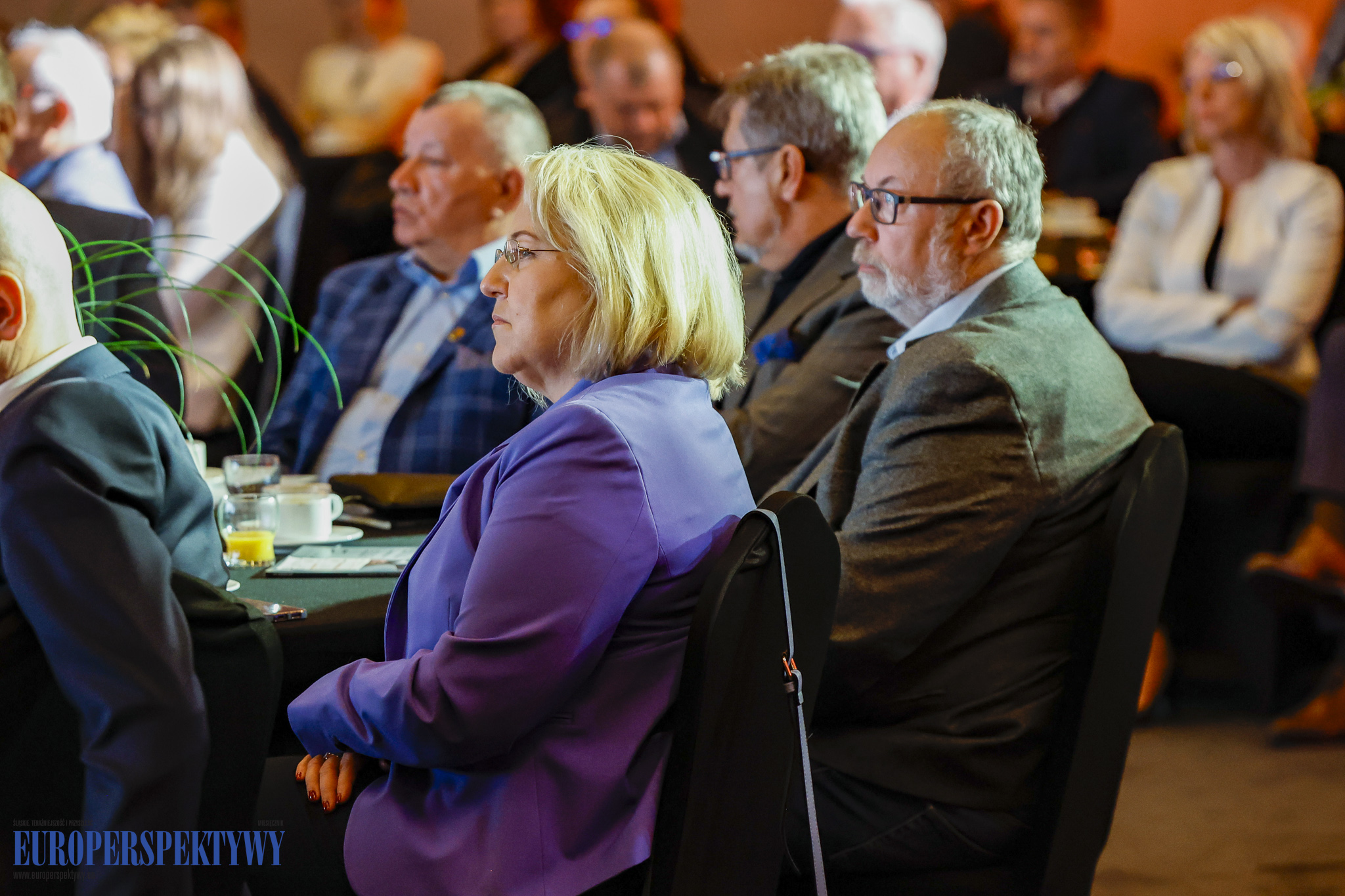 _MGL1737 Europerspektywy RIG: Industry in transition