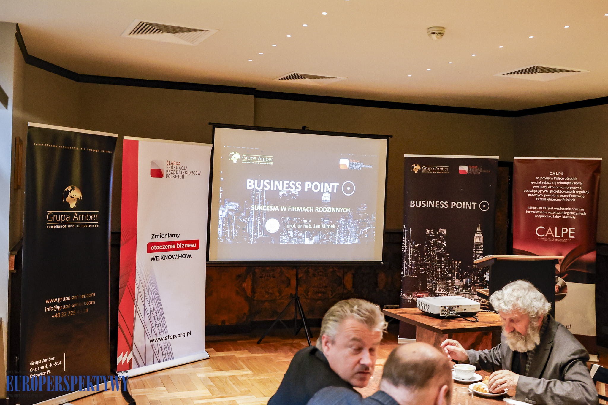_MGL6676 Europerspektywy Grupa Amber i Śląska FPP — Business Point