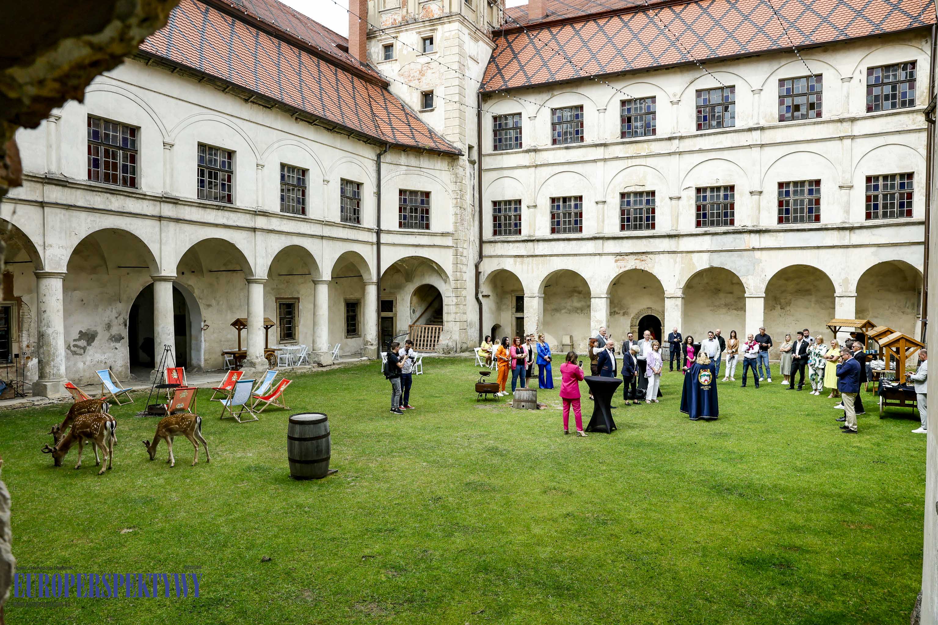 _MGL-1020 Europerspektywy Business Centre Club na Zamku w Niemodlinie