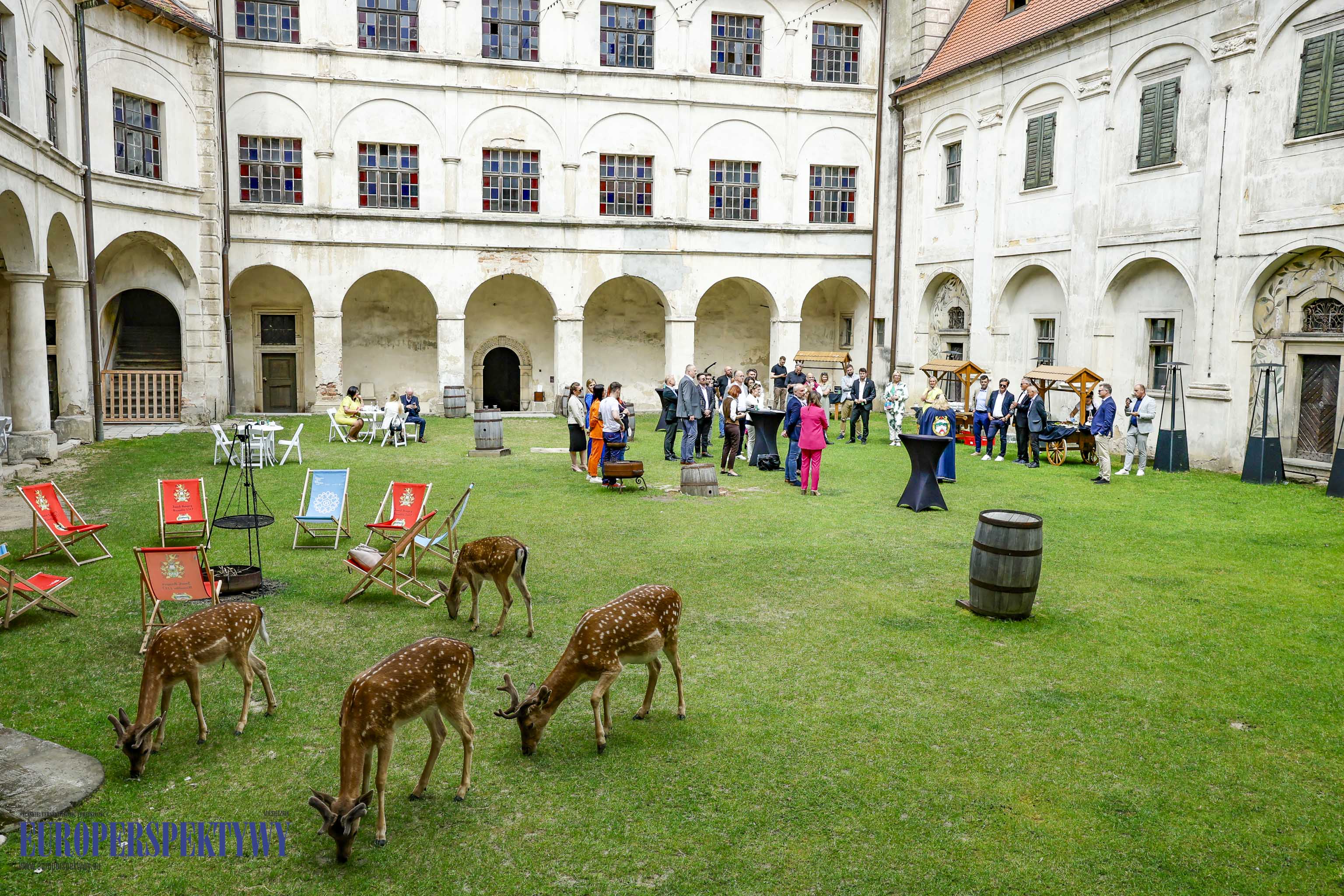 _MGL-1021 Europerspektywy Business Centre Club na Zamku w Niemodlinie