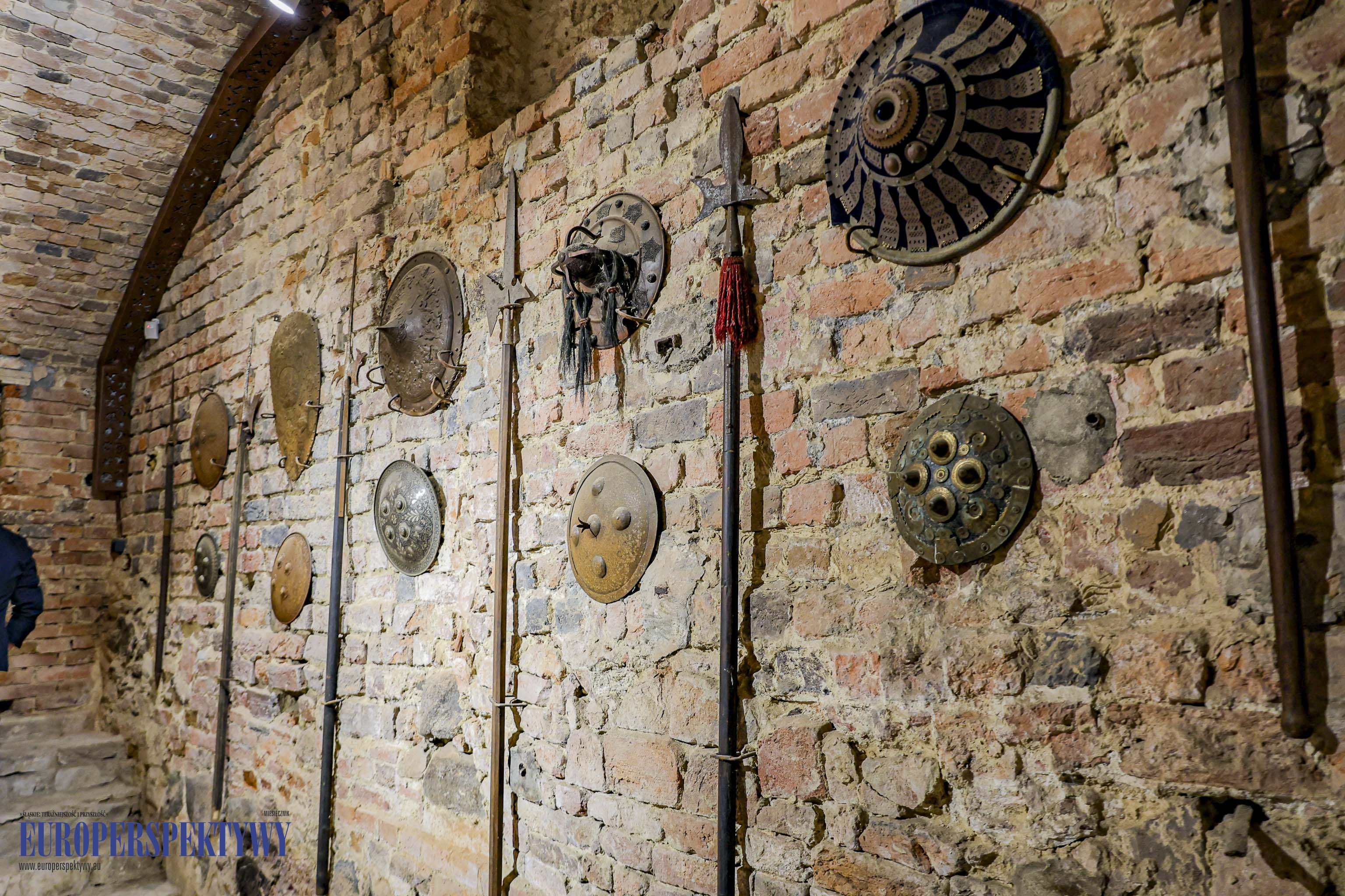 _MGL-1029 Europerspektywy Business Centre Club na Zamku w Niemodlinie