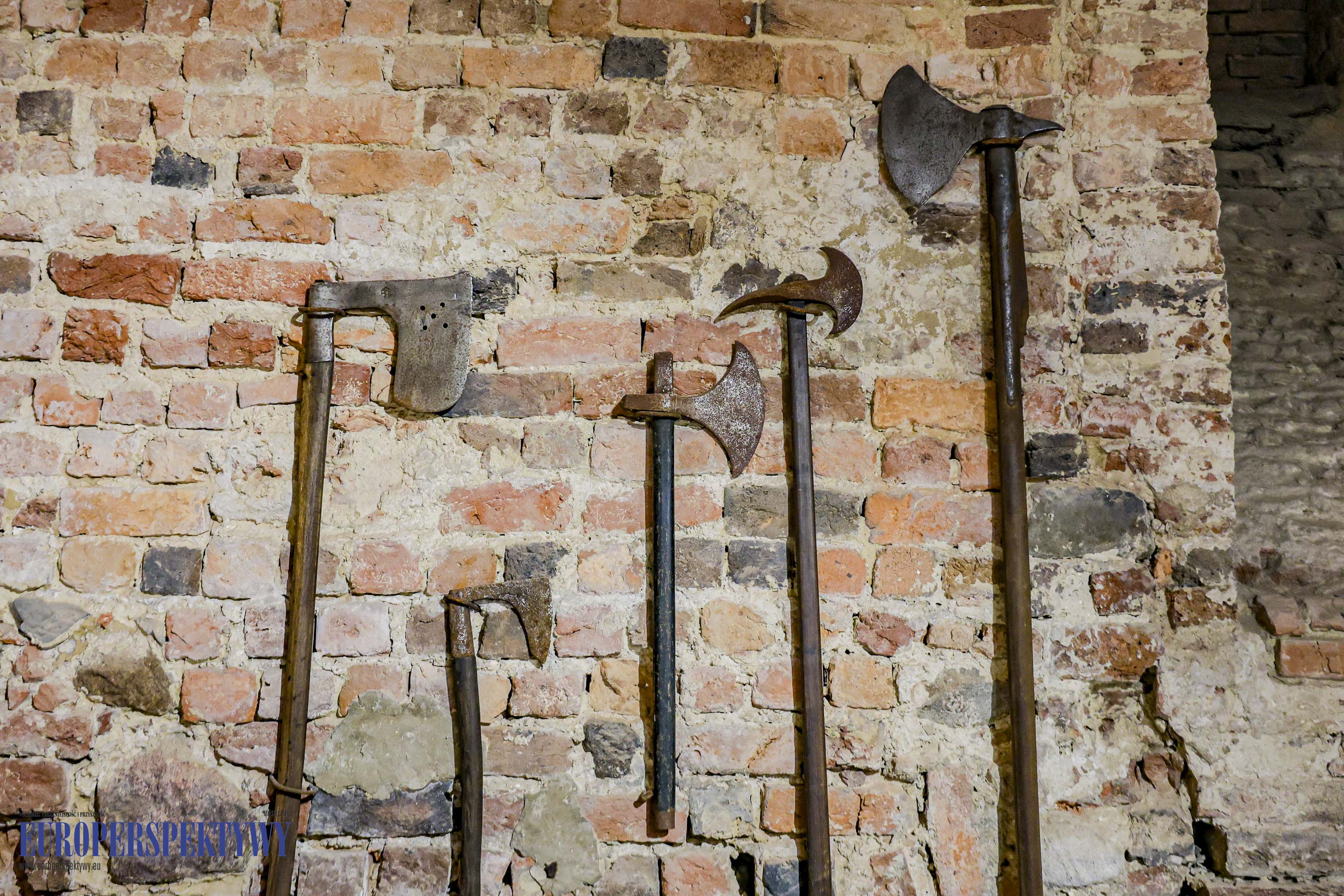 _MGL-1030 Europerspektywy Business Centre Club na Zamku w Niemodlinie