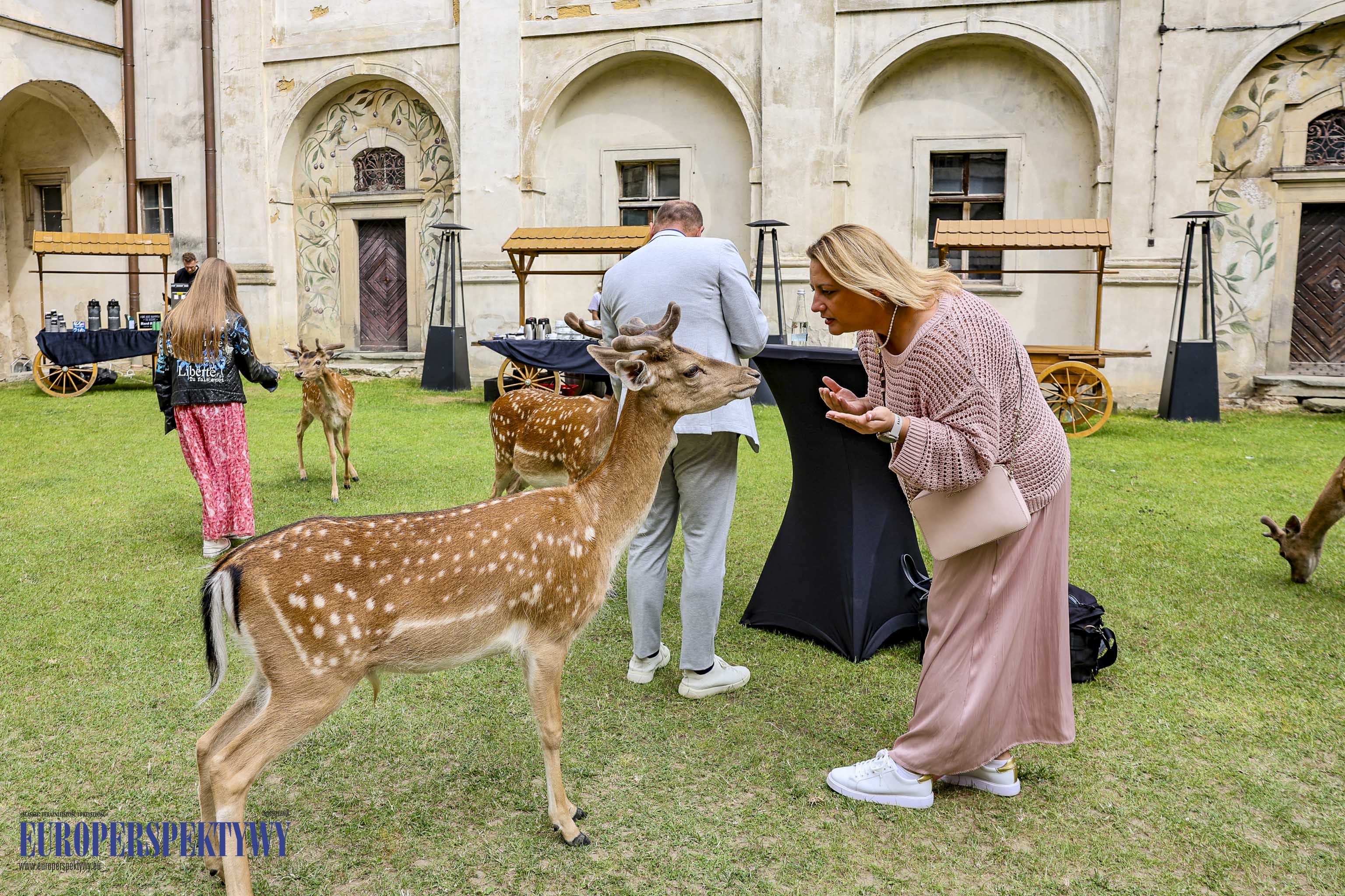 _MGL-1042 Europerspektywy Business Centre Club na Zamku w Niemodlinie