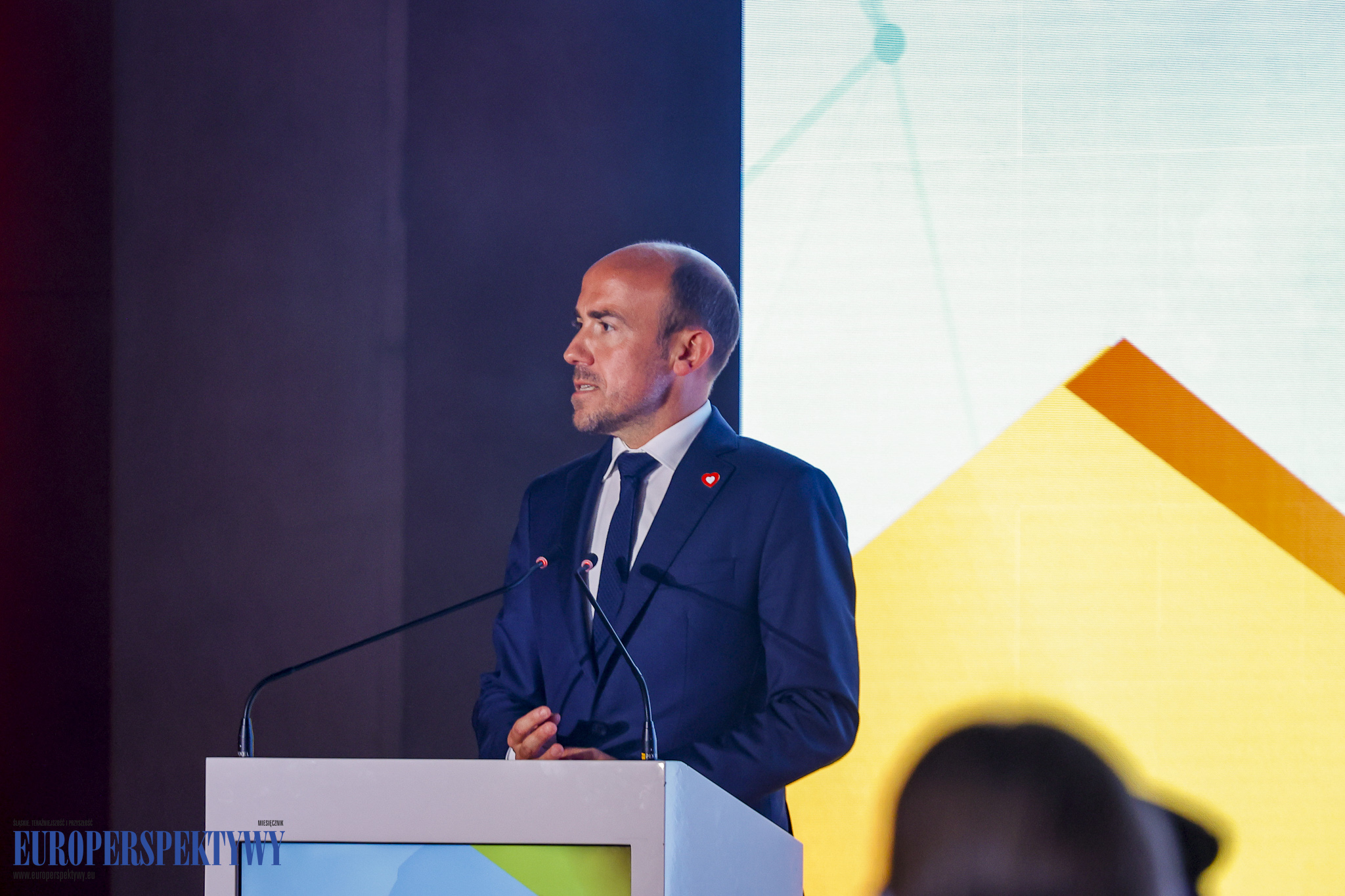 _MGL6710 Europerspektywy Industry in Transition 2024