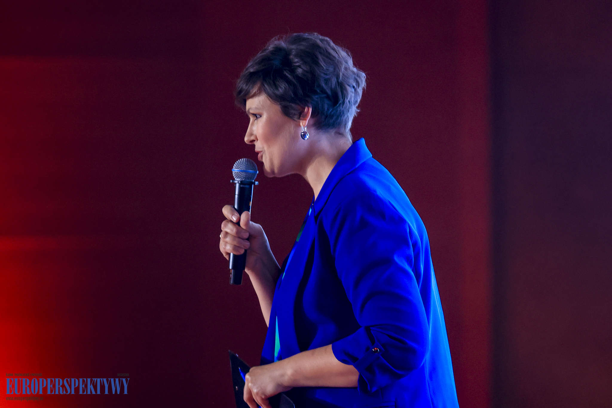 _MGL6890 Europerspektywy Industry in Transition 2024