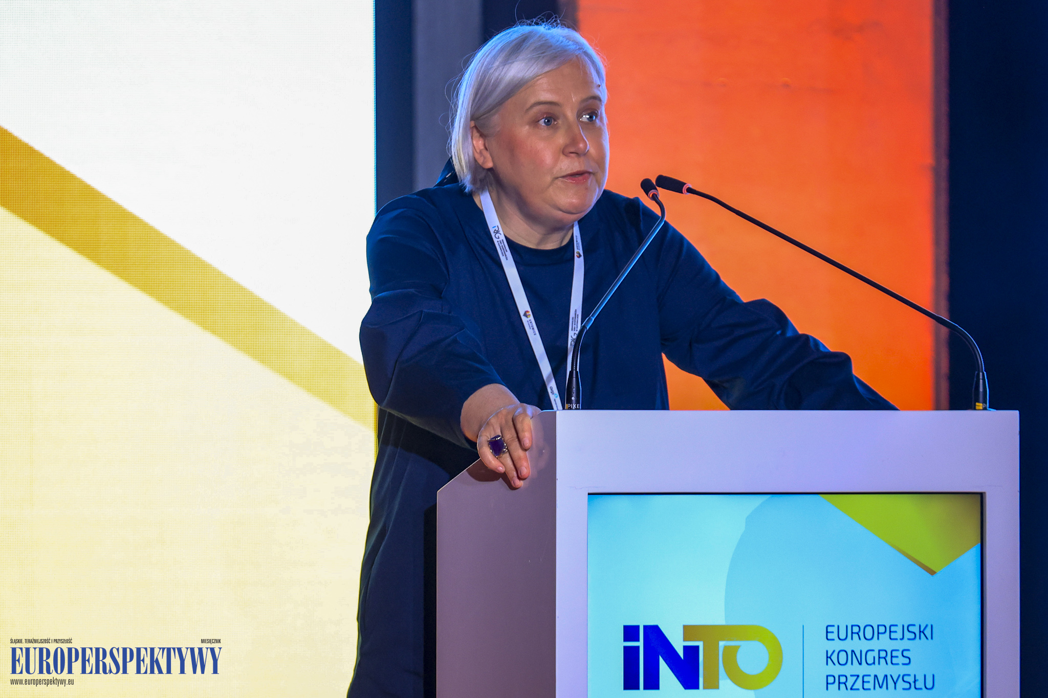 _MGL6903 Europerspektywy Industry in Transition 2024