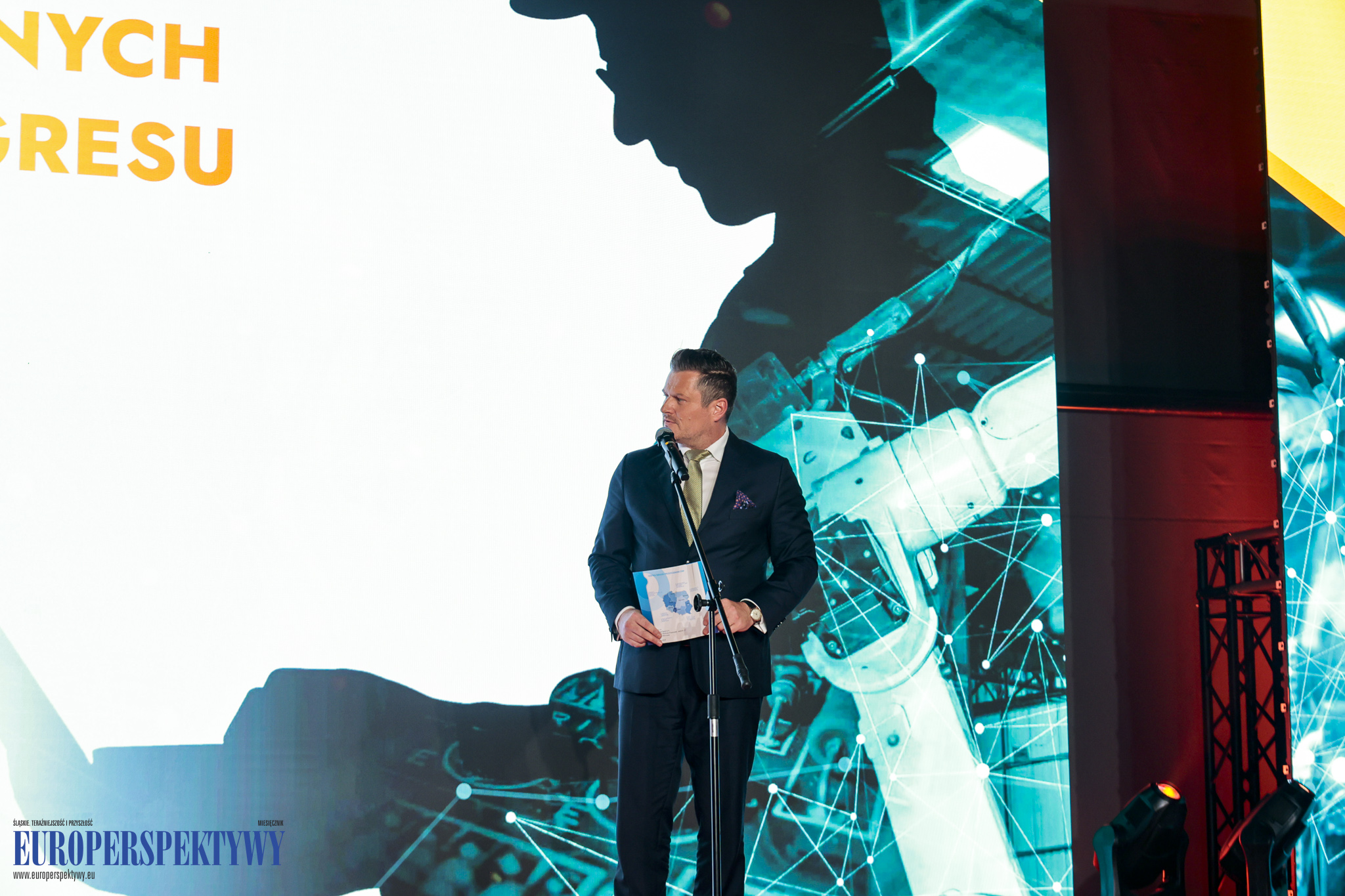 _MGL8113 Europerspektywy Industry in Transition 2024