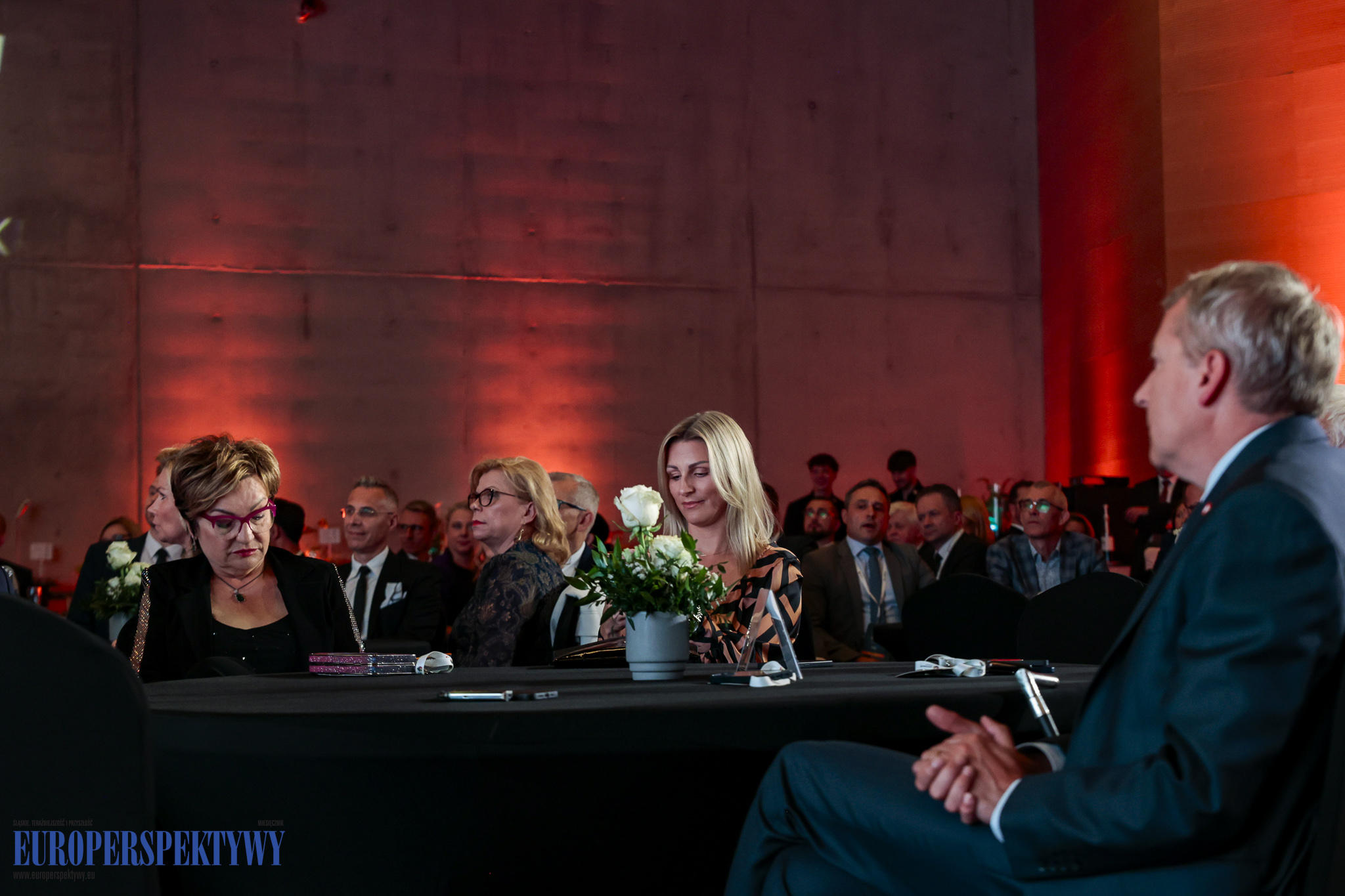 _MGL8149 Europerspektywy Industry in Transition 2024