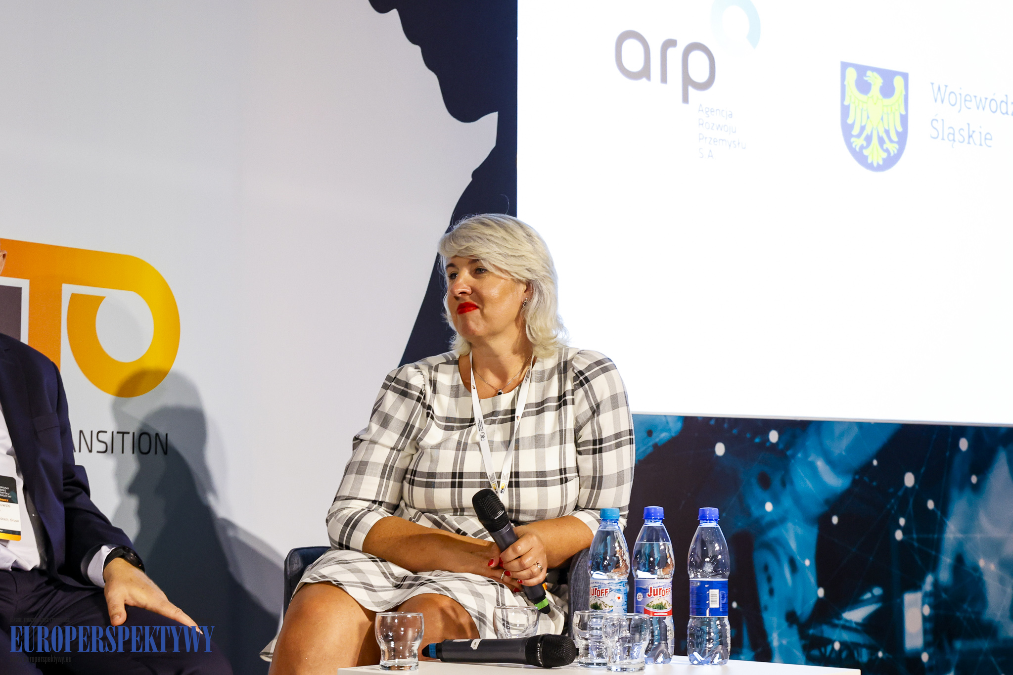 _MGL9252 Europerspektywy Industry in Transition 2024