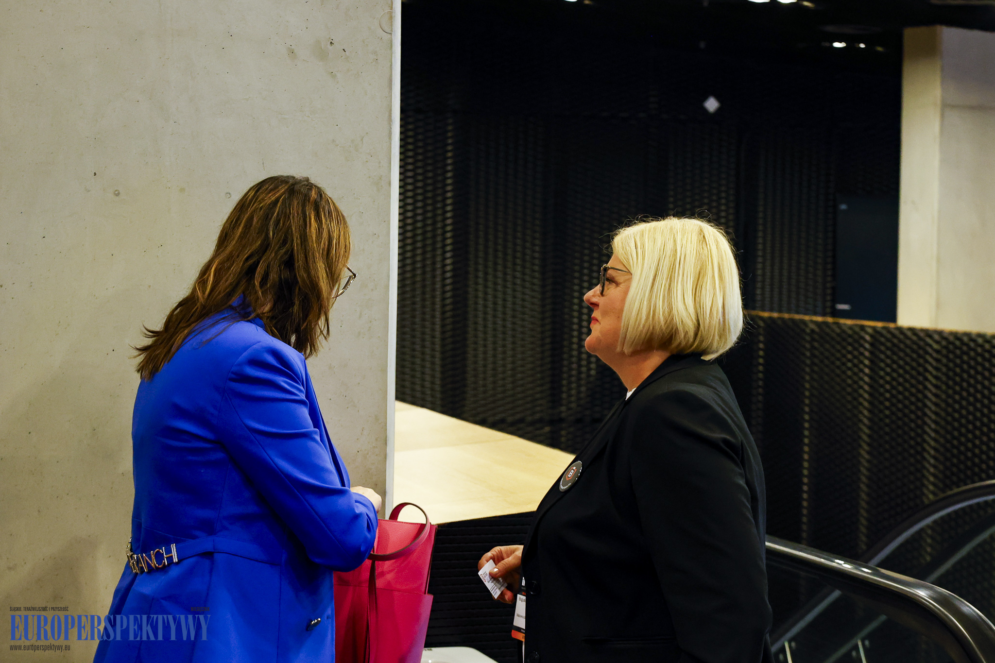 _MGL9274 Europerspektywy Industry in Transition 2024