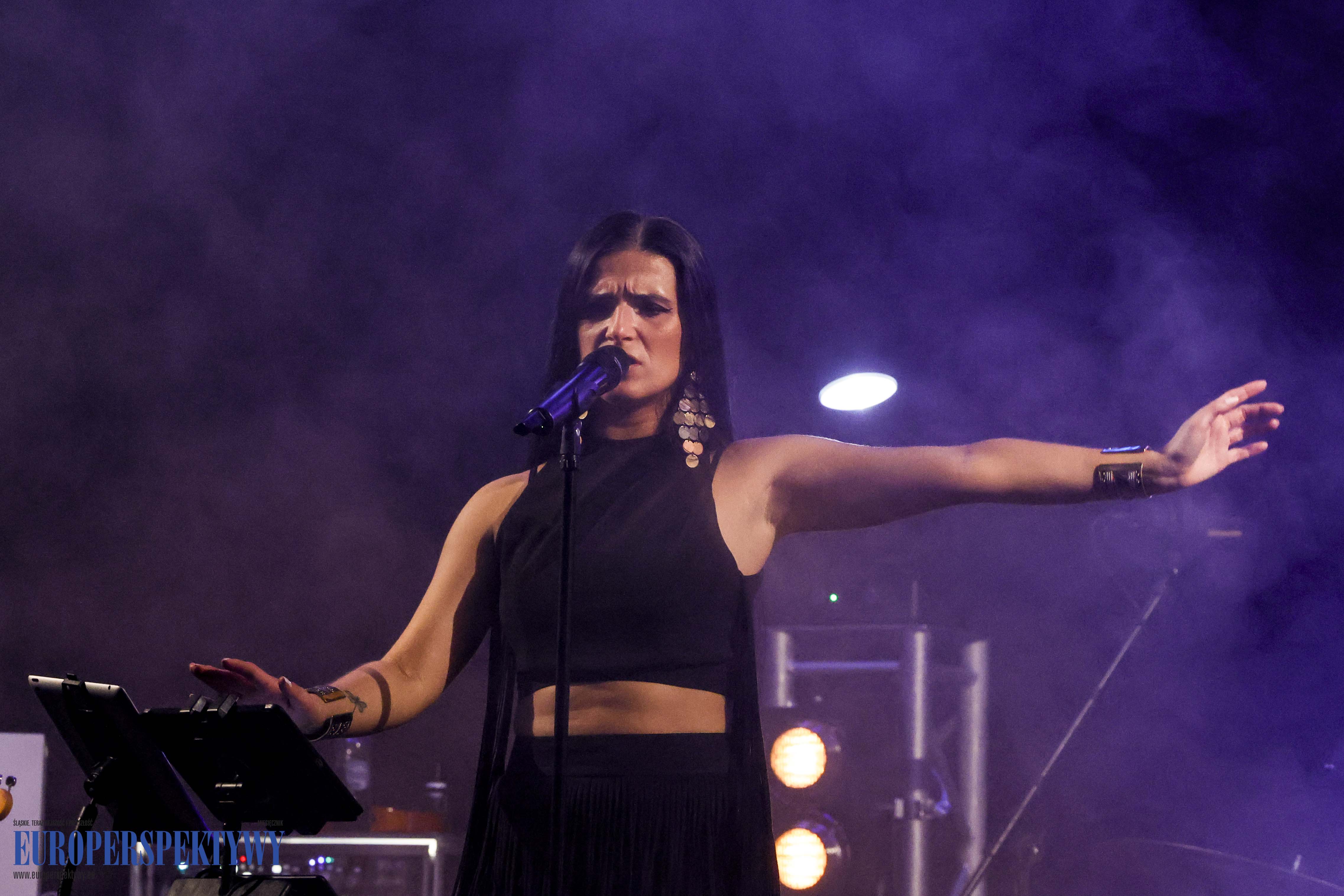 Europerspektywy DZIKA inauguracja