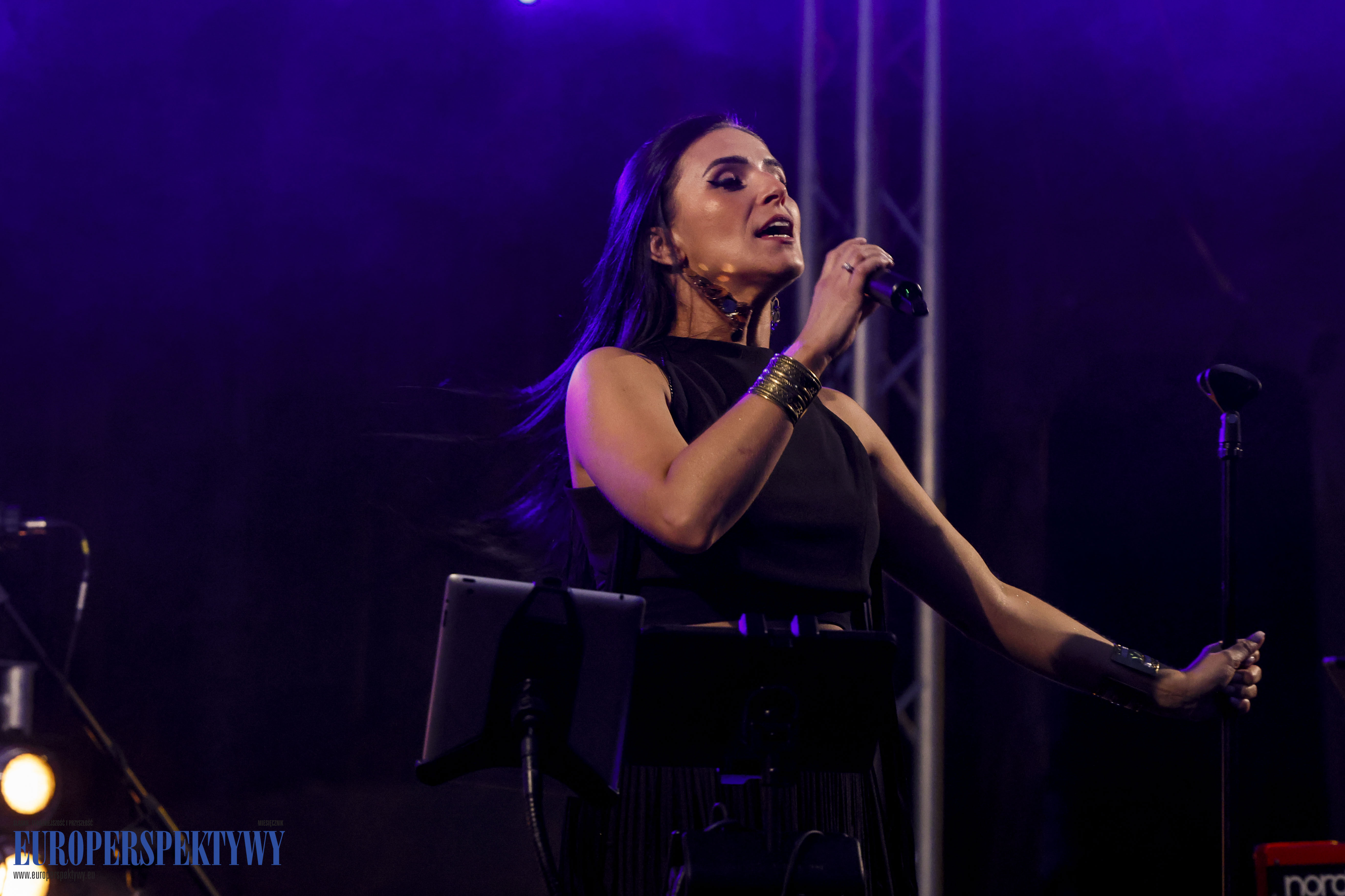 Europerspektywy DZIKA inauguracja