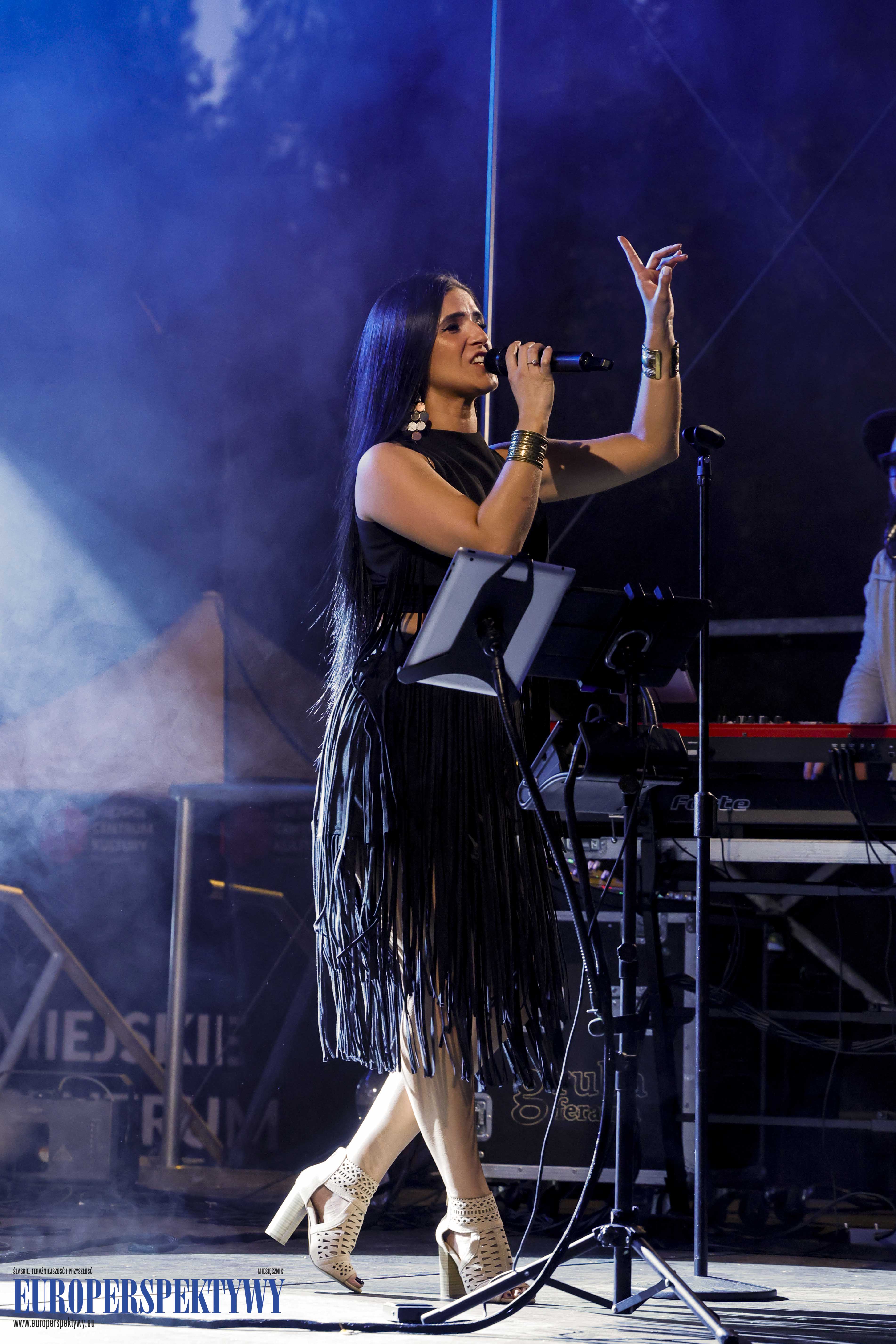 Europerspektywy DZIKA inauguracja