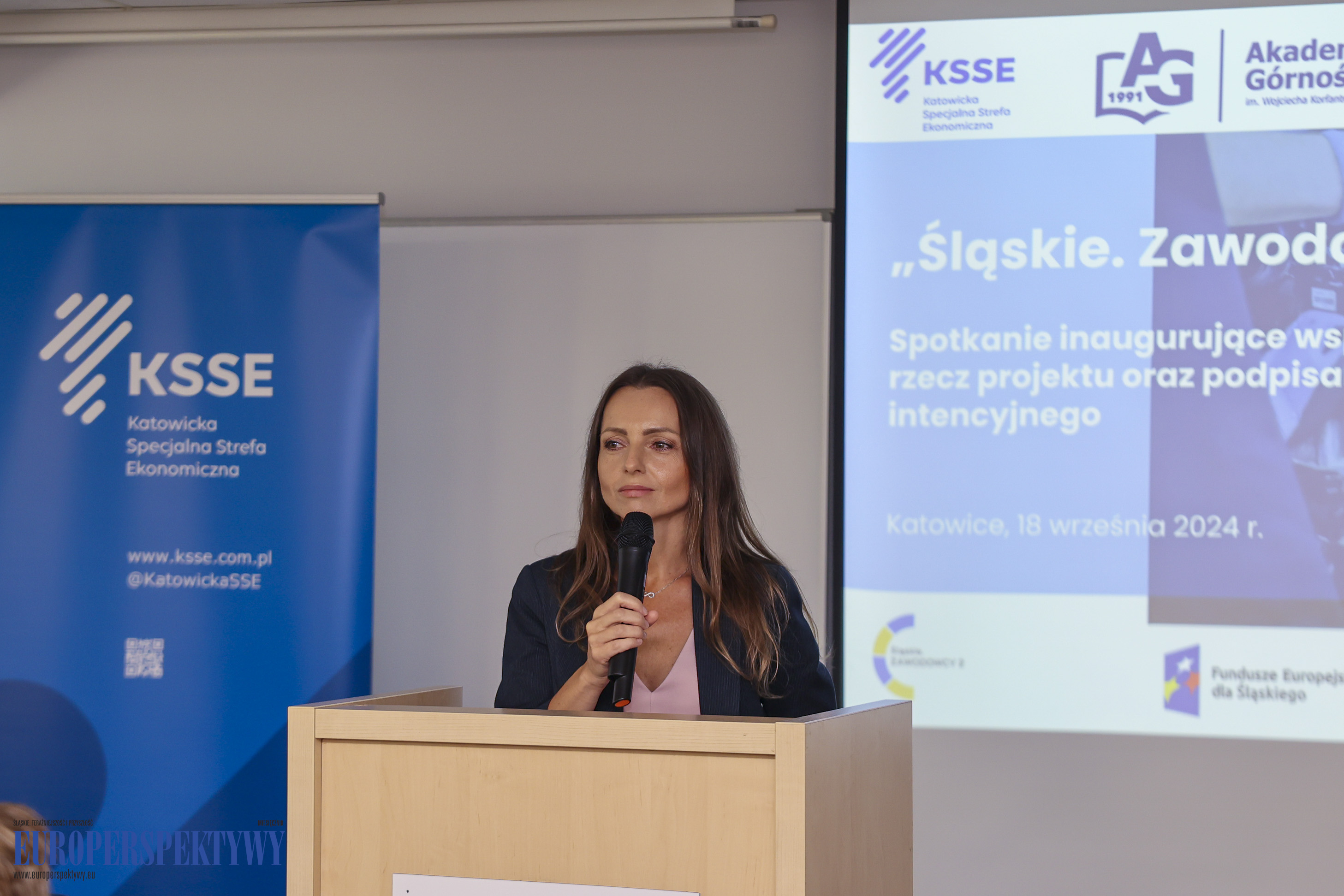 Europerspektywy "Śląskie. Zawodowcy 2"